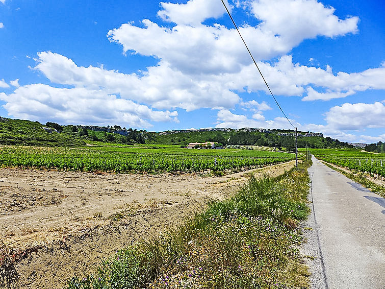 Photo of Les Vendanges