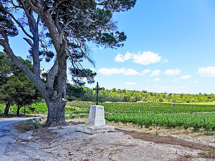 Photo of Les Vendanges