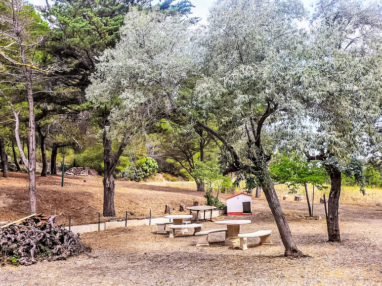 Photo of Les Vendanges