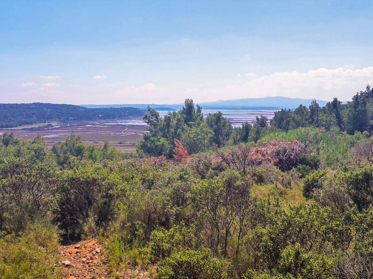 Photo of Les Vendanges