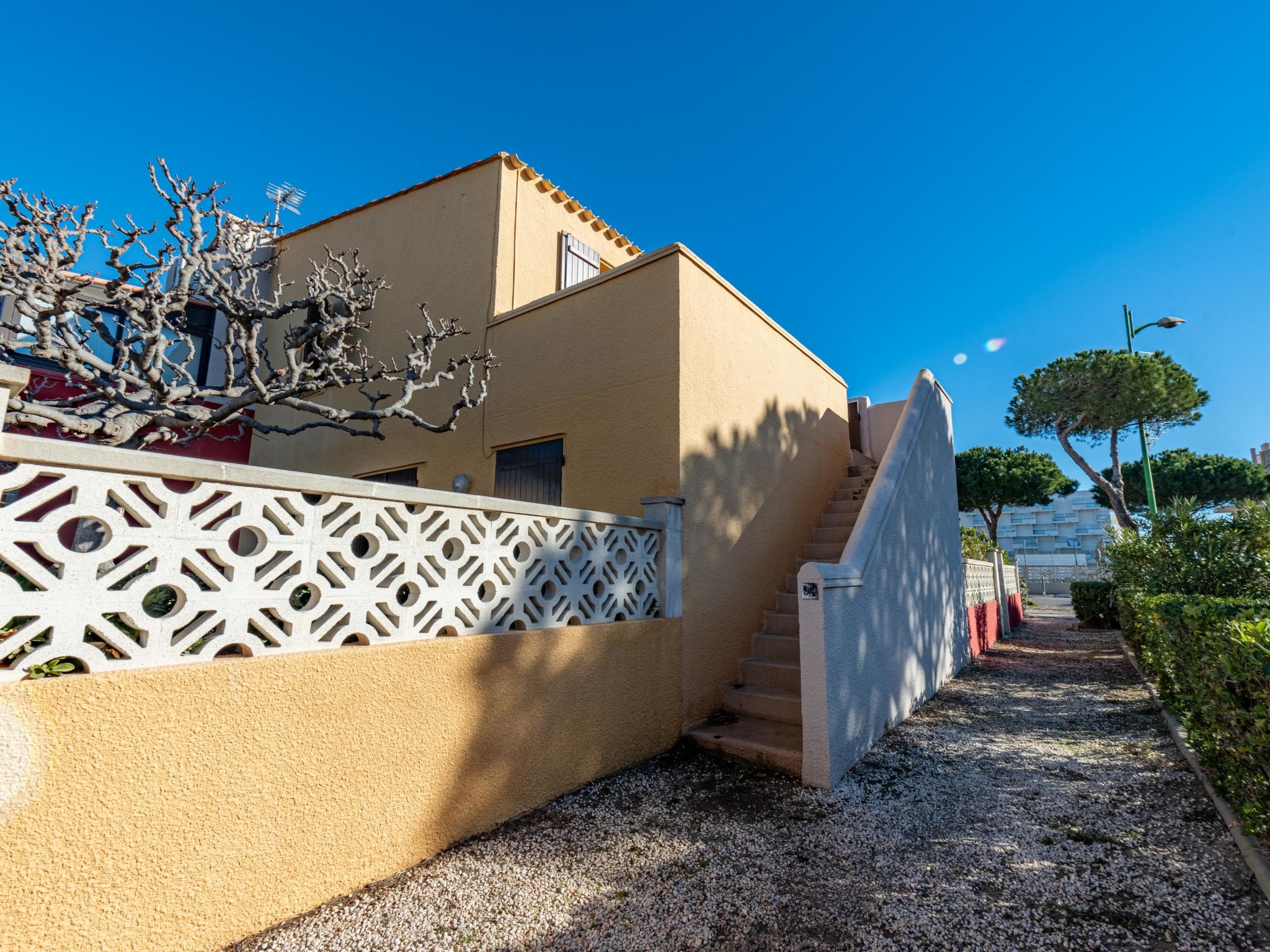 Photo of Les Caraïbes du Levant