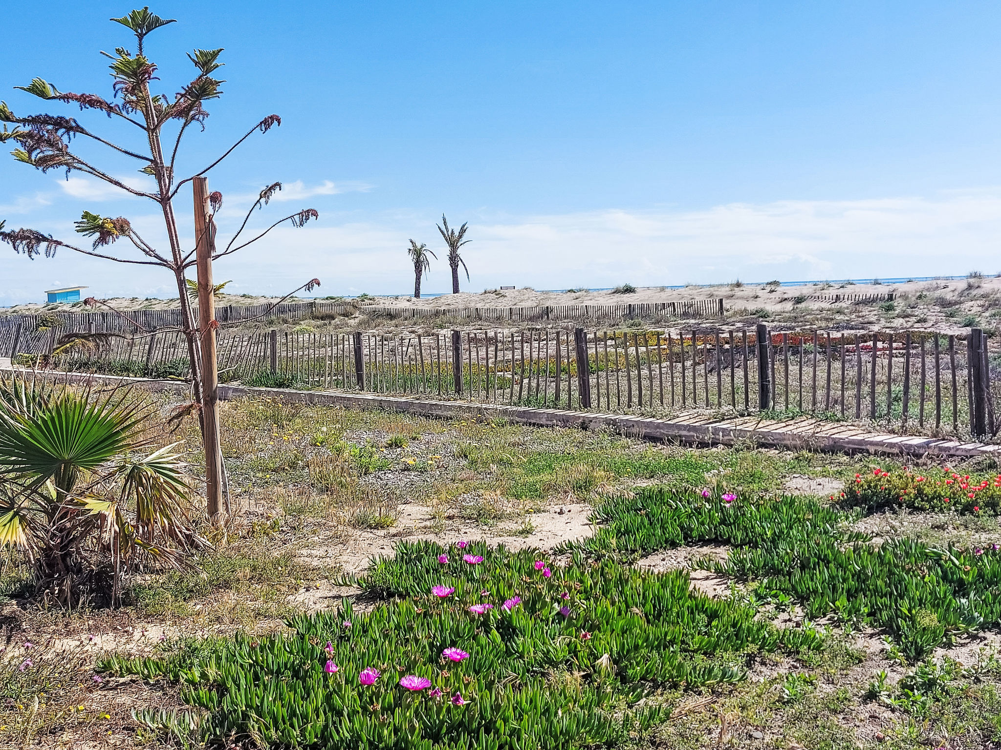 Front de Mer-Omgeving
