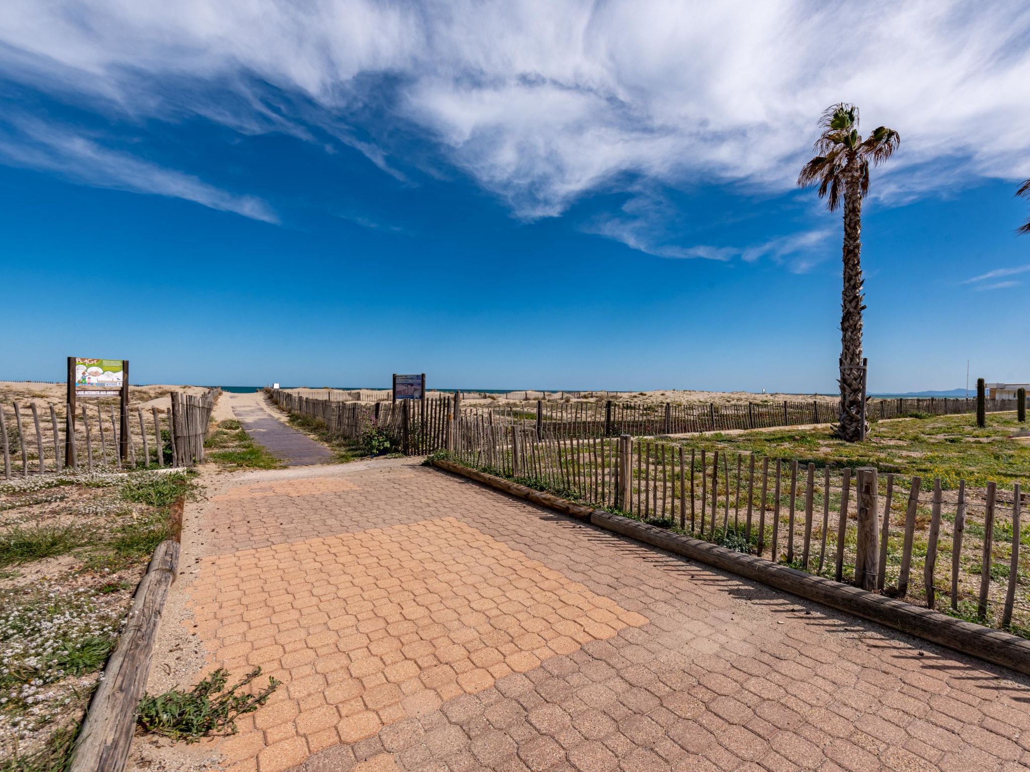 Photo of Palm Beach