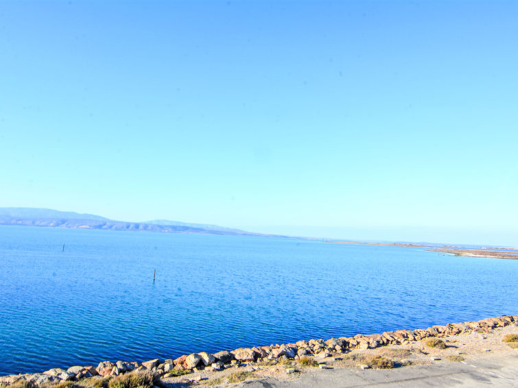 Photo of Palmyra