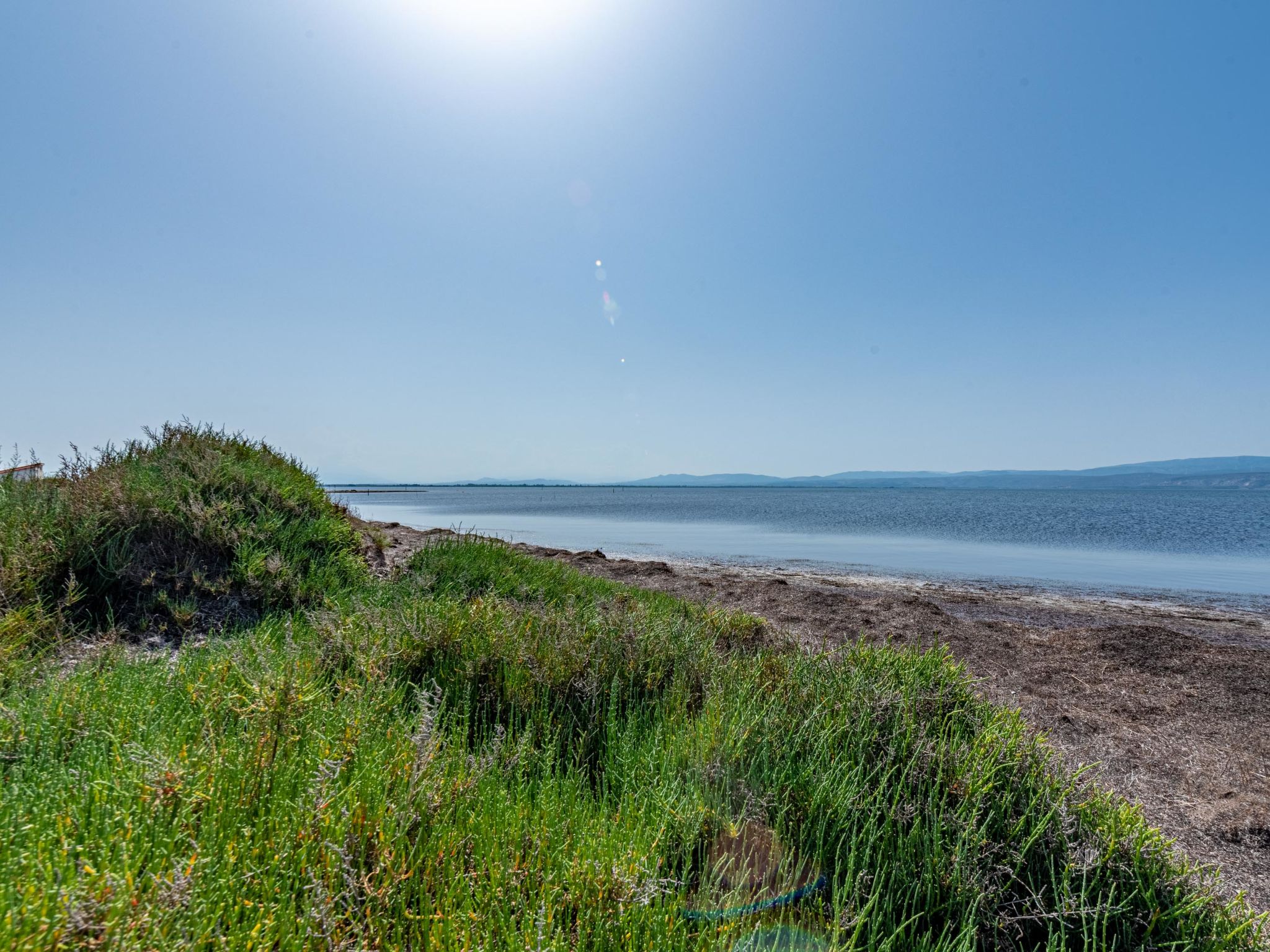 Palmyra-Area