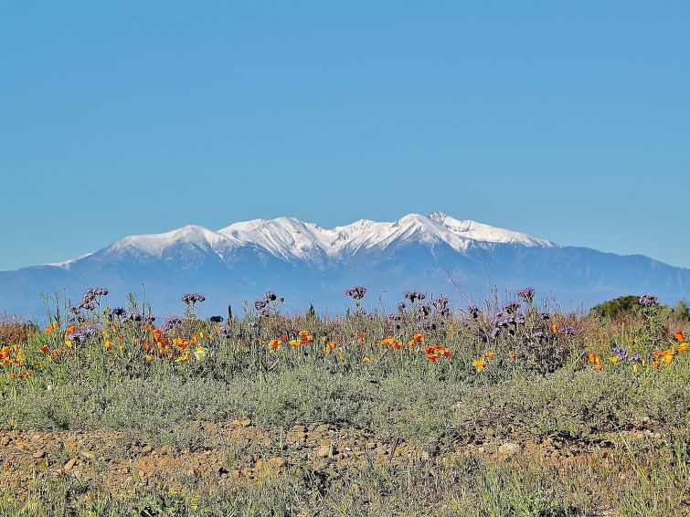 Photo of Sombrero