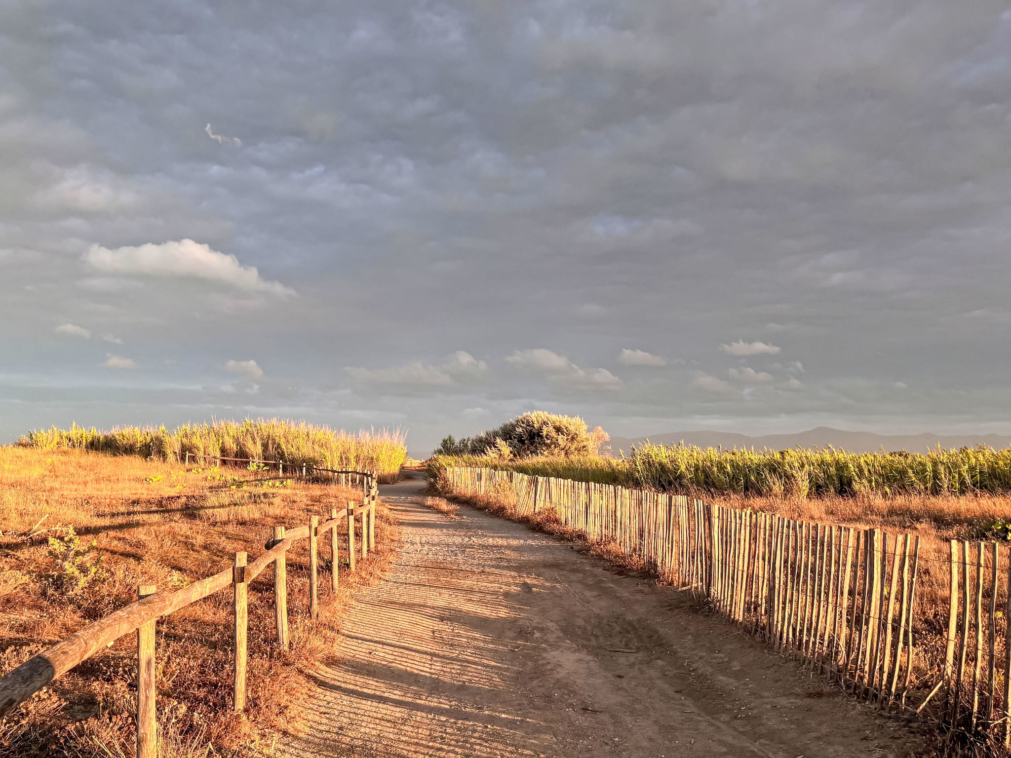 The Olive Retreat - Buiten
