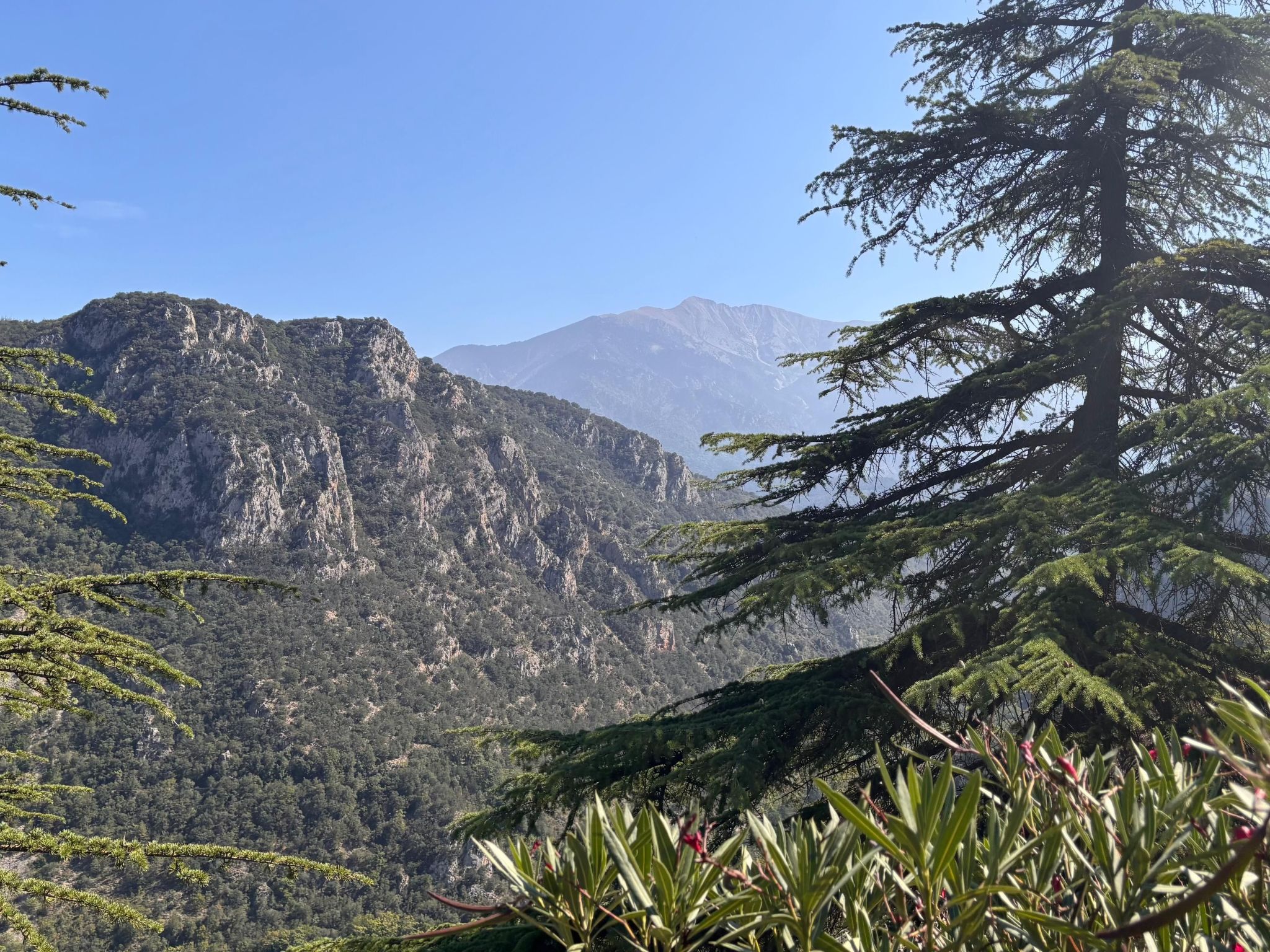 The Olive Retreat-Binnen