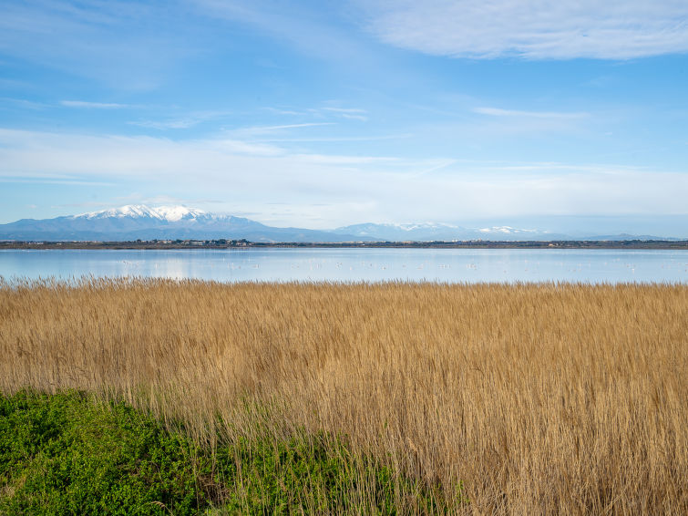 Photo of Les Marines de Port Canet