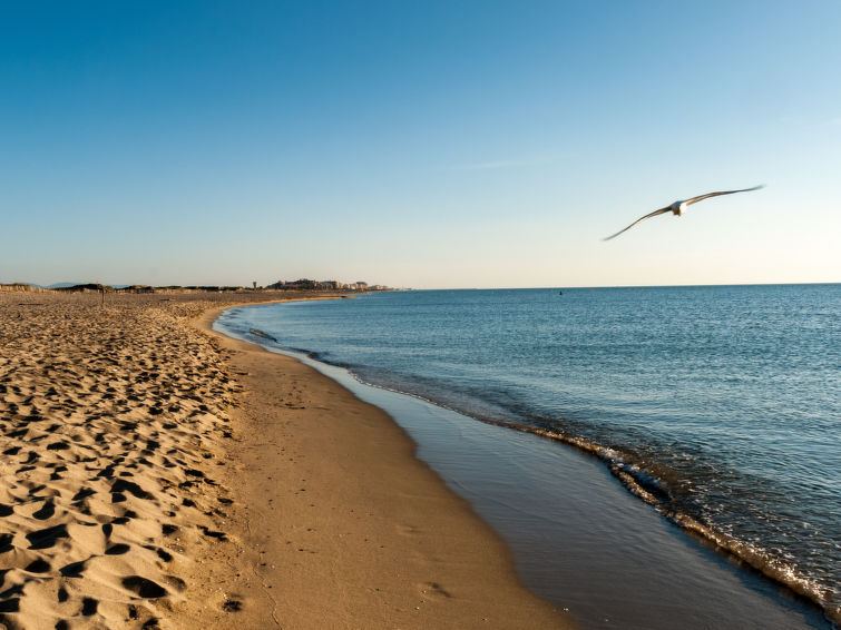 Photo of Les Marines du soleil