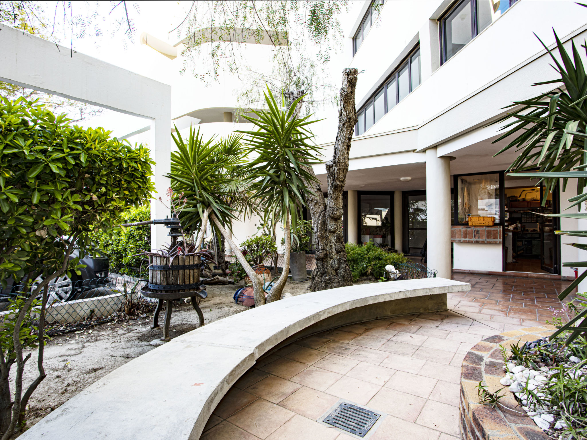 Photo of Rose des Sables