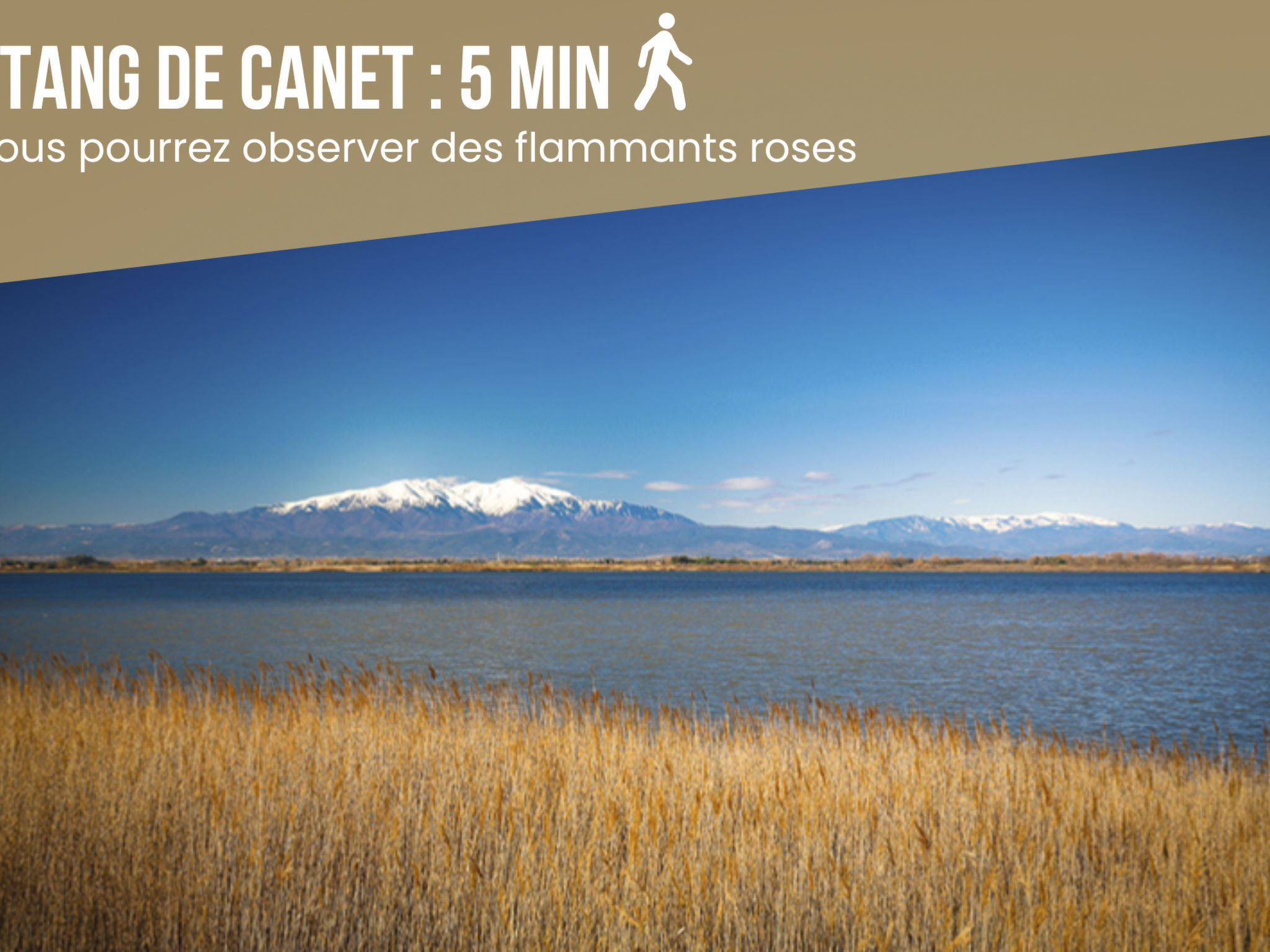 Photo of Dreamy Lodge - Genuss, Strand in 100m