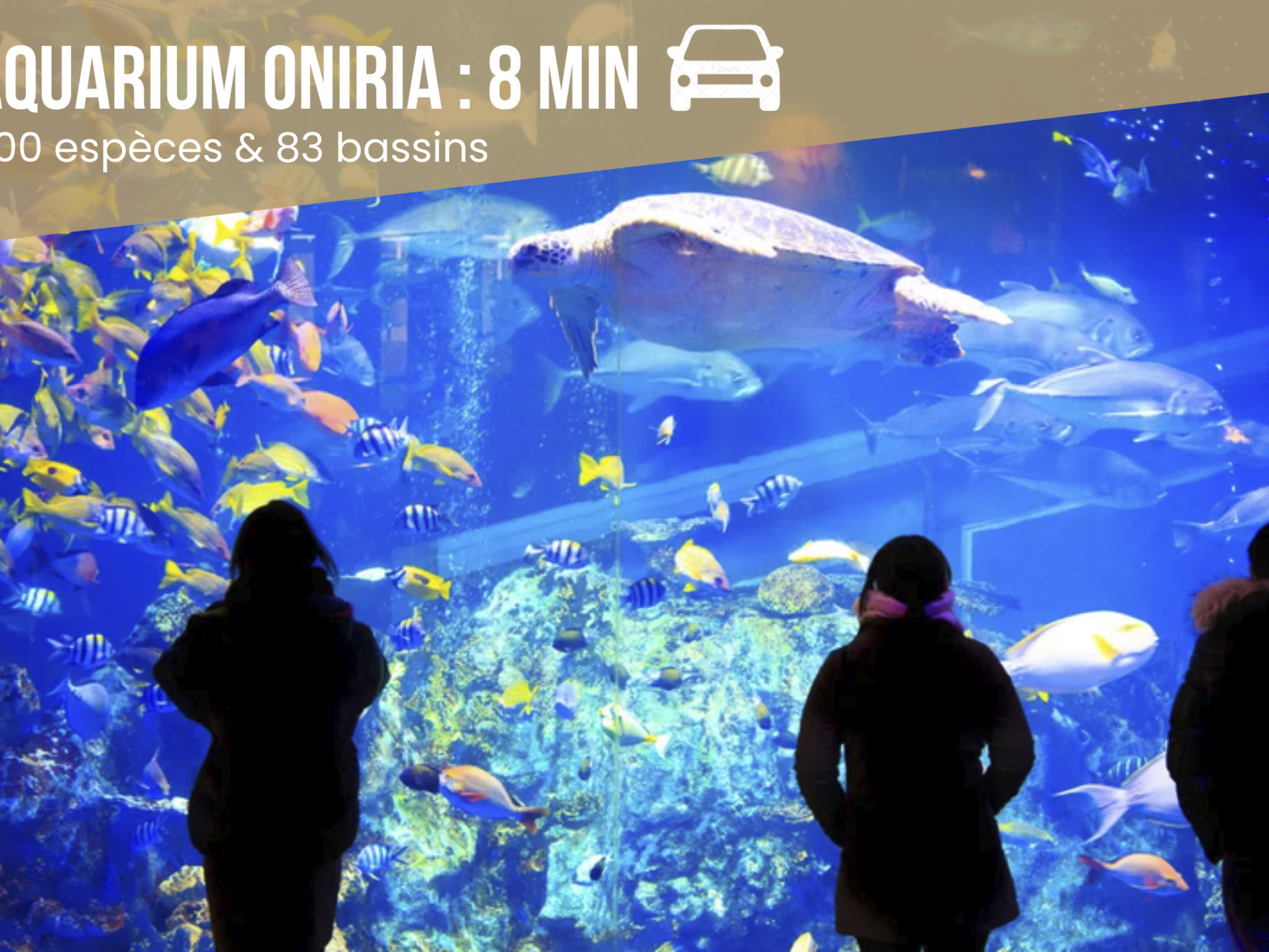 Photo of Dreamy Lodge - Genuss, Strand in 100m