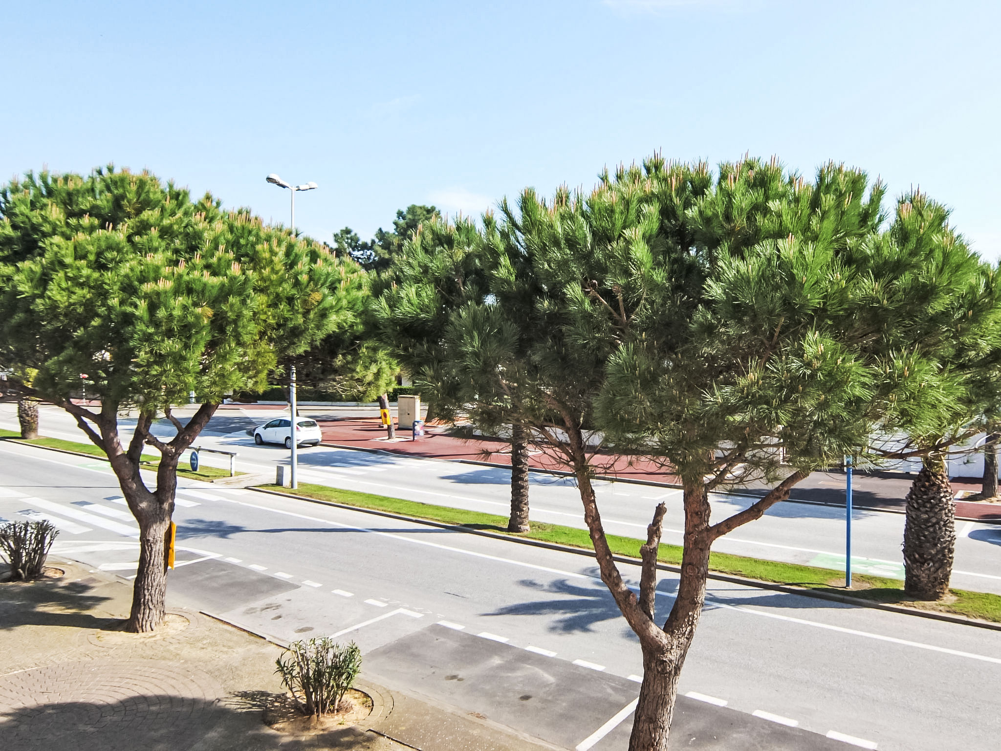 Photo of Le Liberté