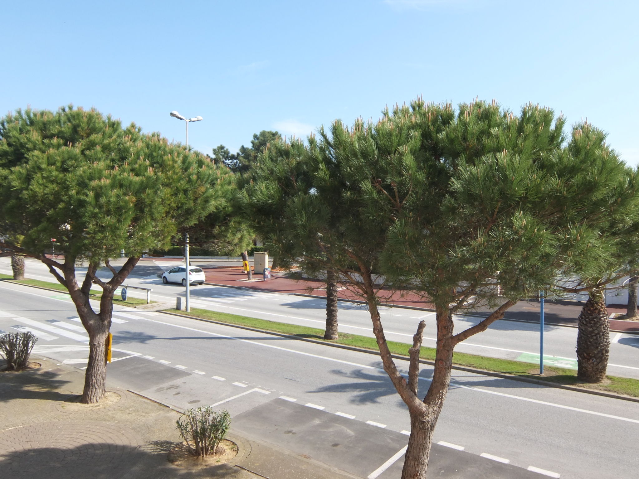 Photo of Le Liberté