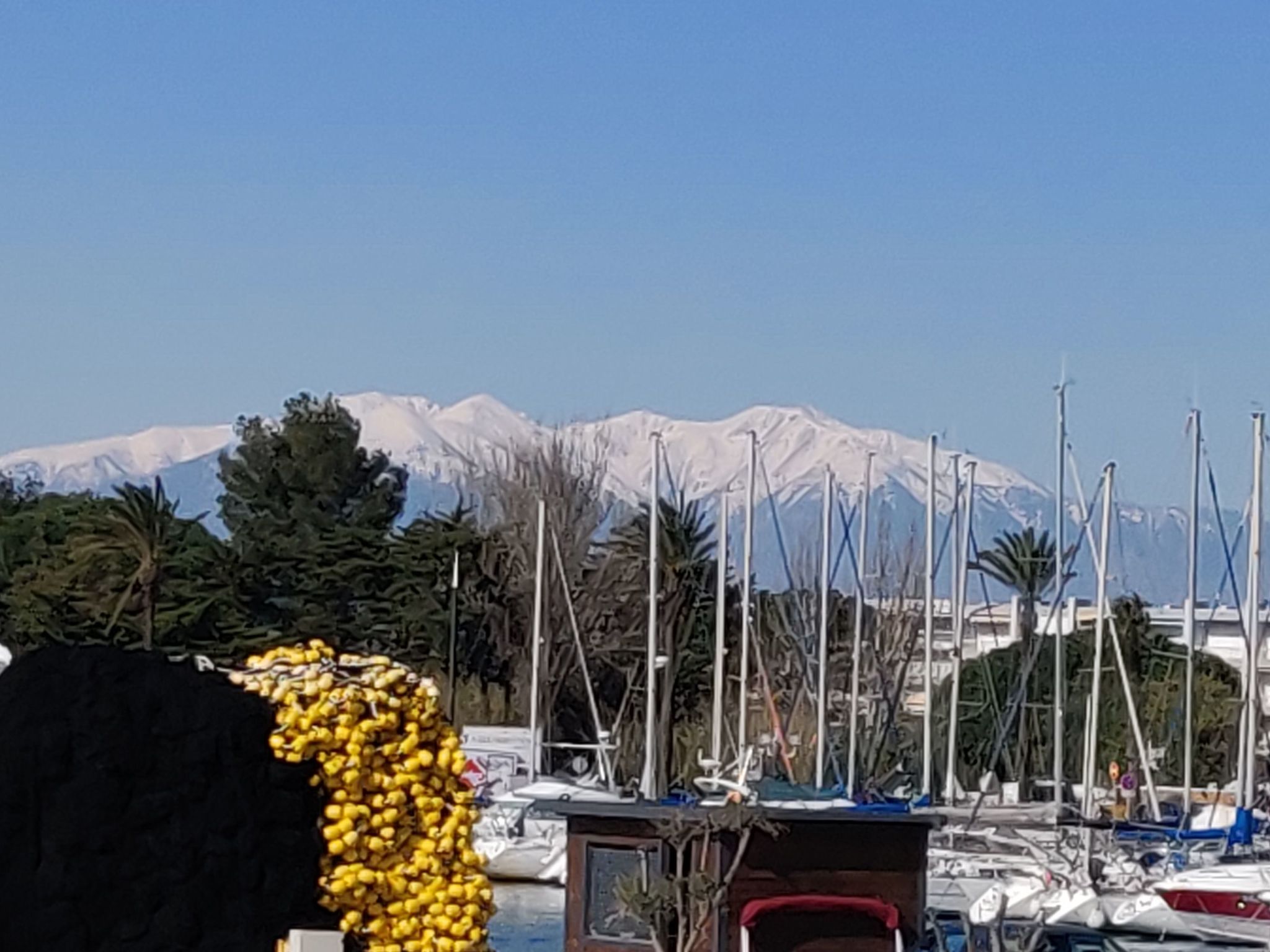 Photo of "Clos Saint-Cyprien"