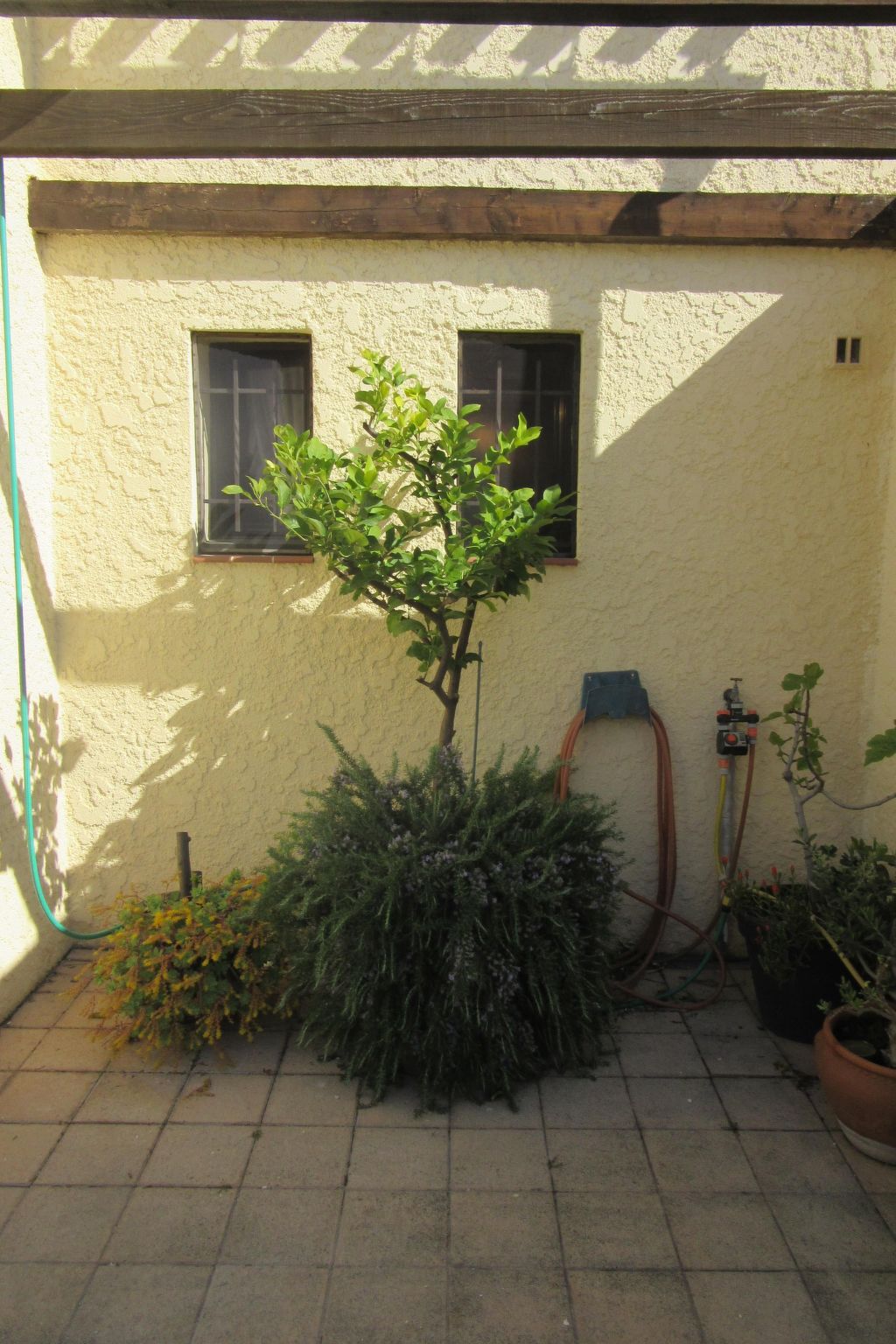 Maison de vacaces-Binnen