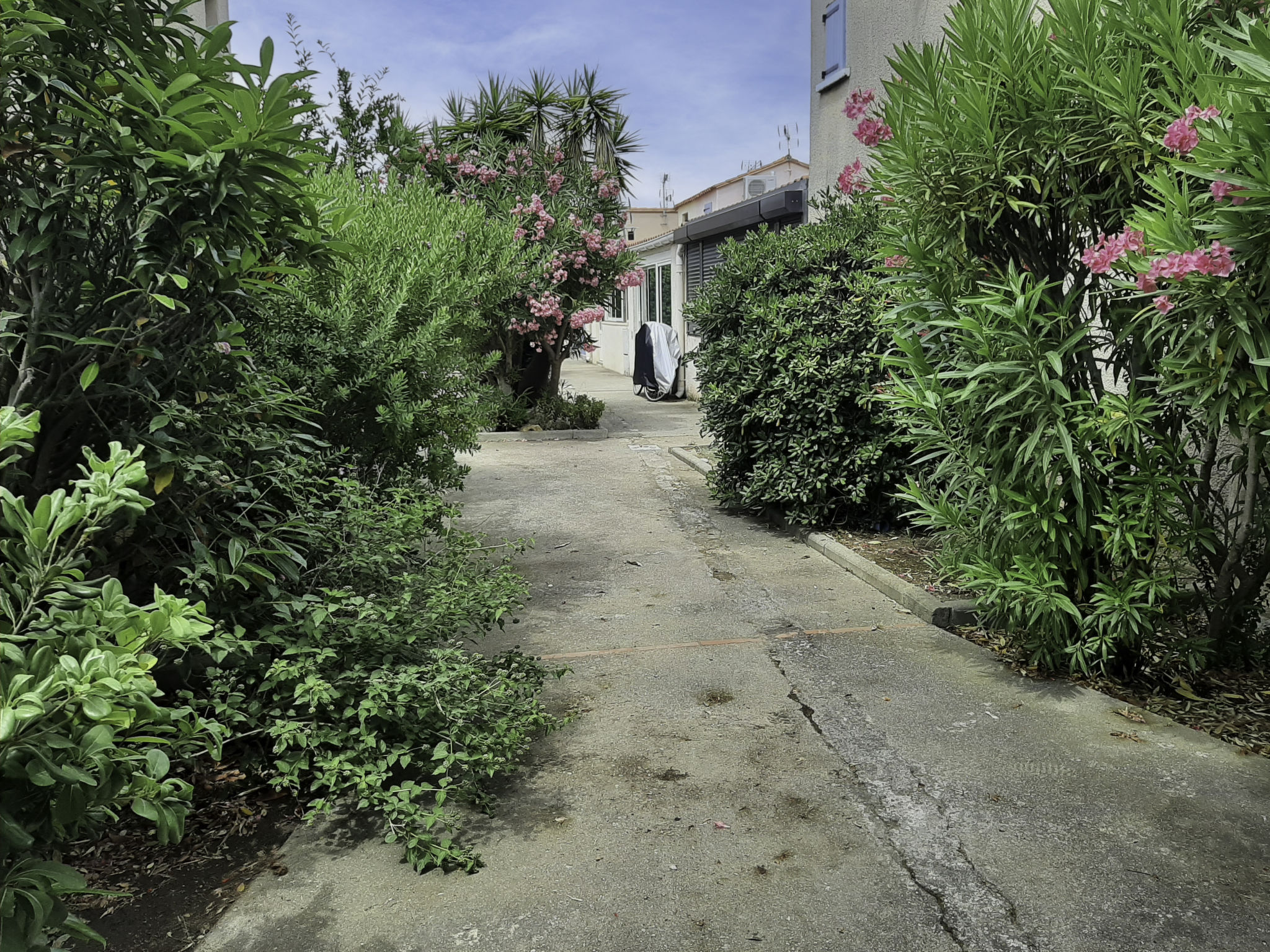 Photo of Les Patios de La Mer