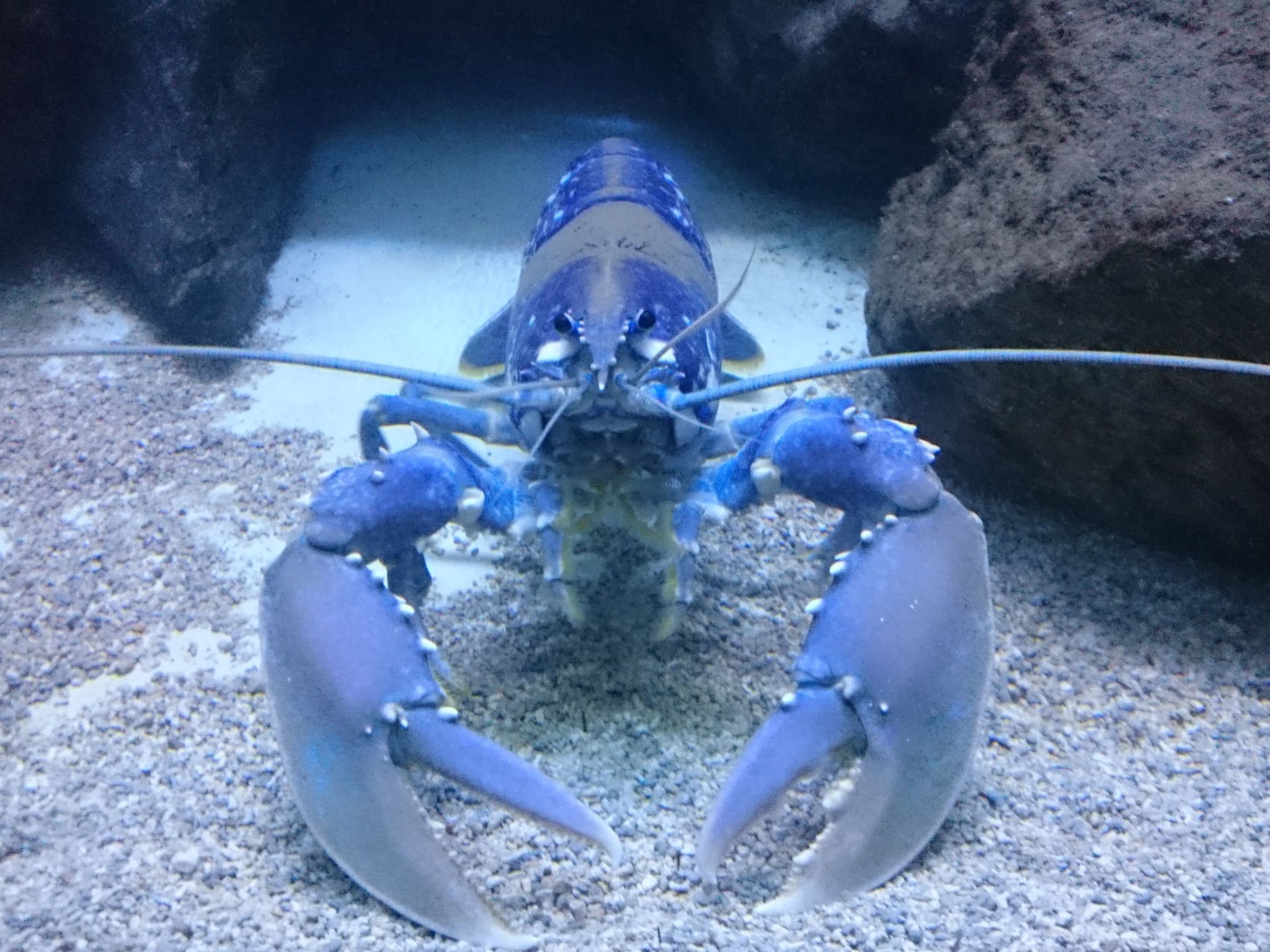 Kleines Studio mit tollem Blick auf das Meer-Image-tags.info