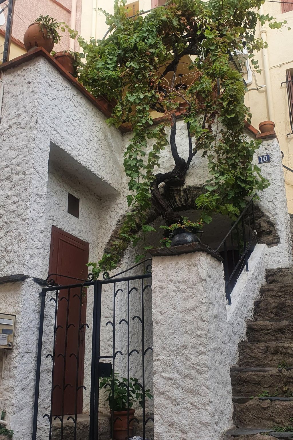 Kleines Studio mit tollem Blick auf das Meer-Image-tags.info