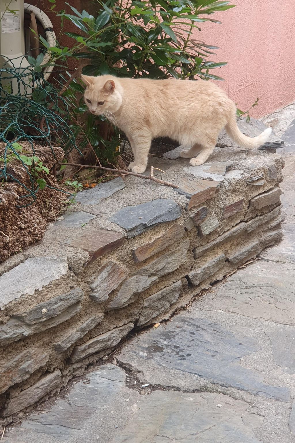 Kleines Studio mit tollem Blick auf das Meer-Image-tags.info