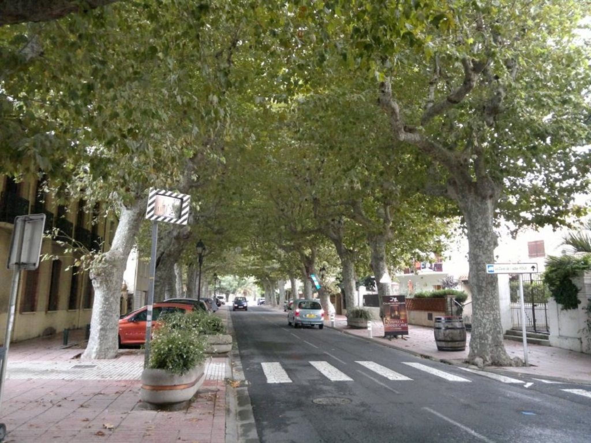 Kleines Studio mit tollem Blick auf das Meer-Image-tags.info