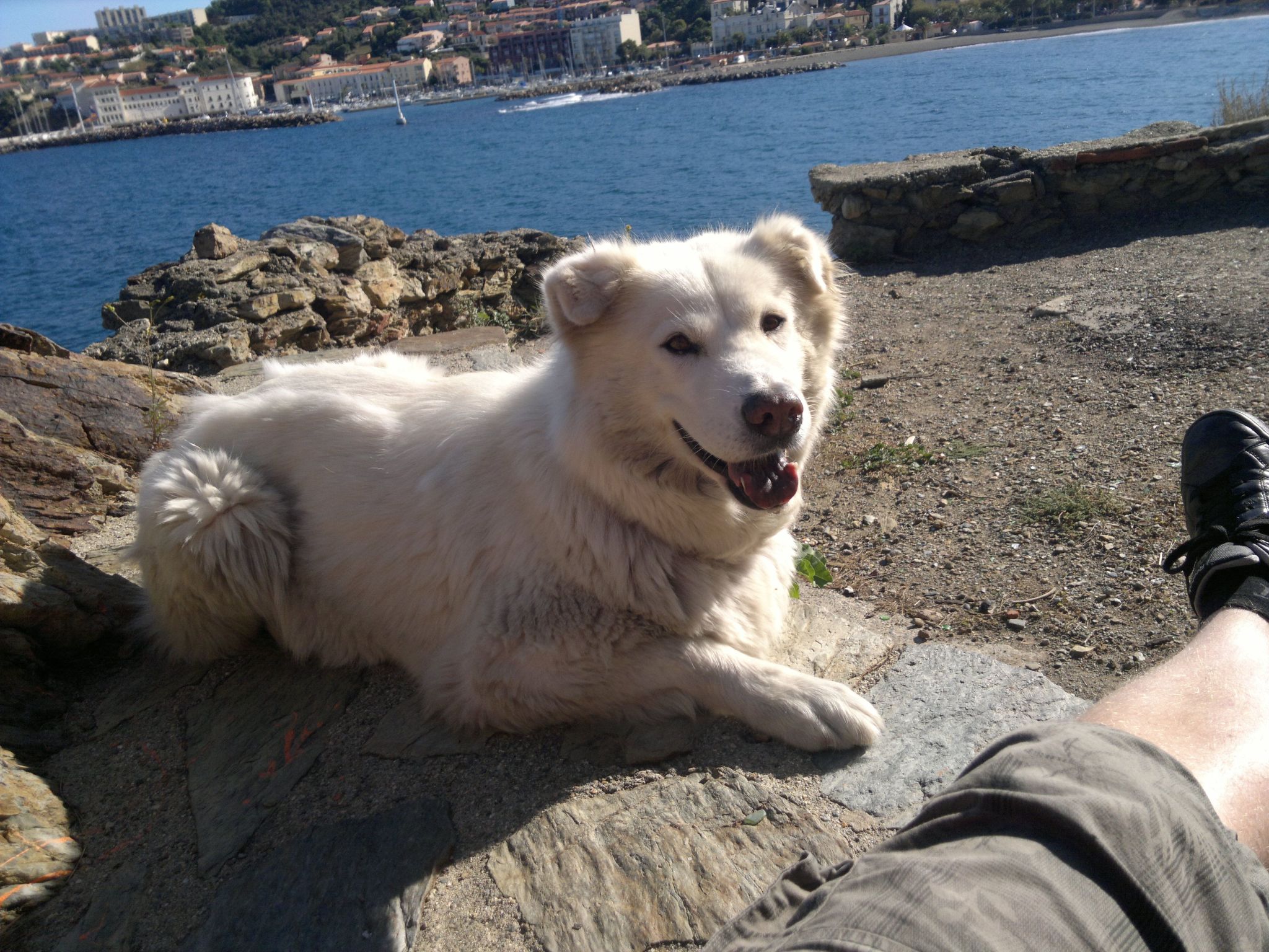 Kleines Studio mit tollem Blick auf das Meer-Image-tags.info