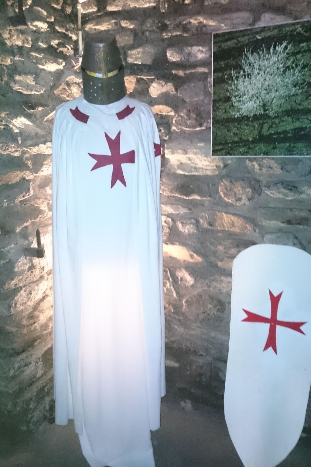 Kleines Studio mit tollem Blick auf das Meer-Image-tags.info