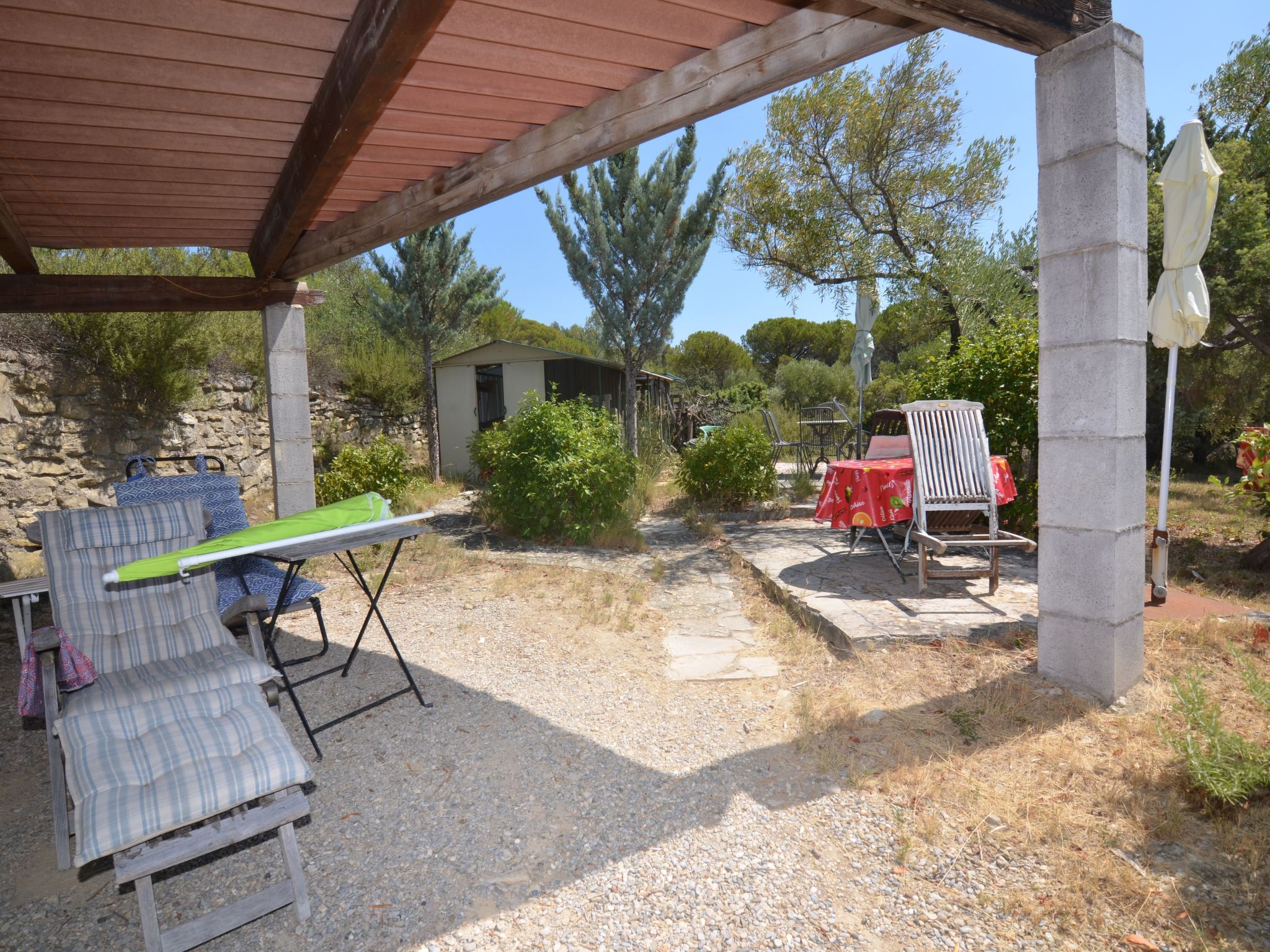 Die kleine Zikade-Dedans