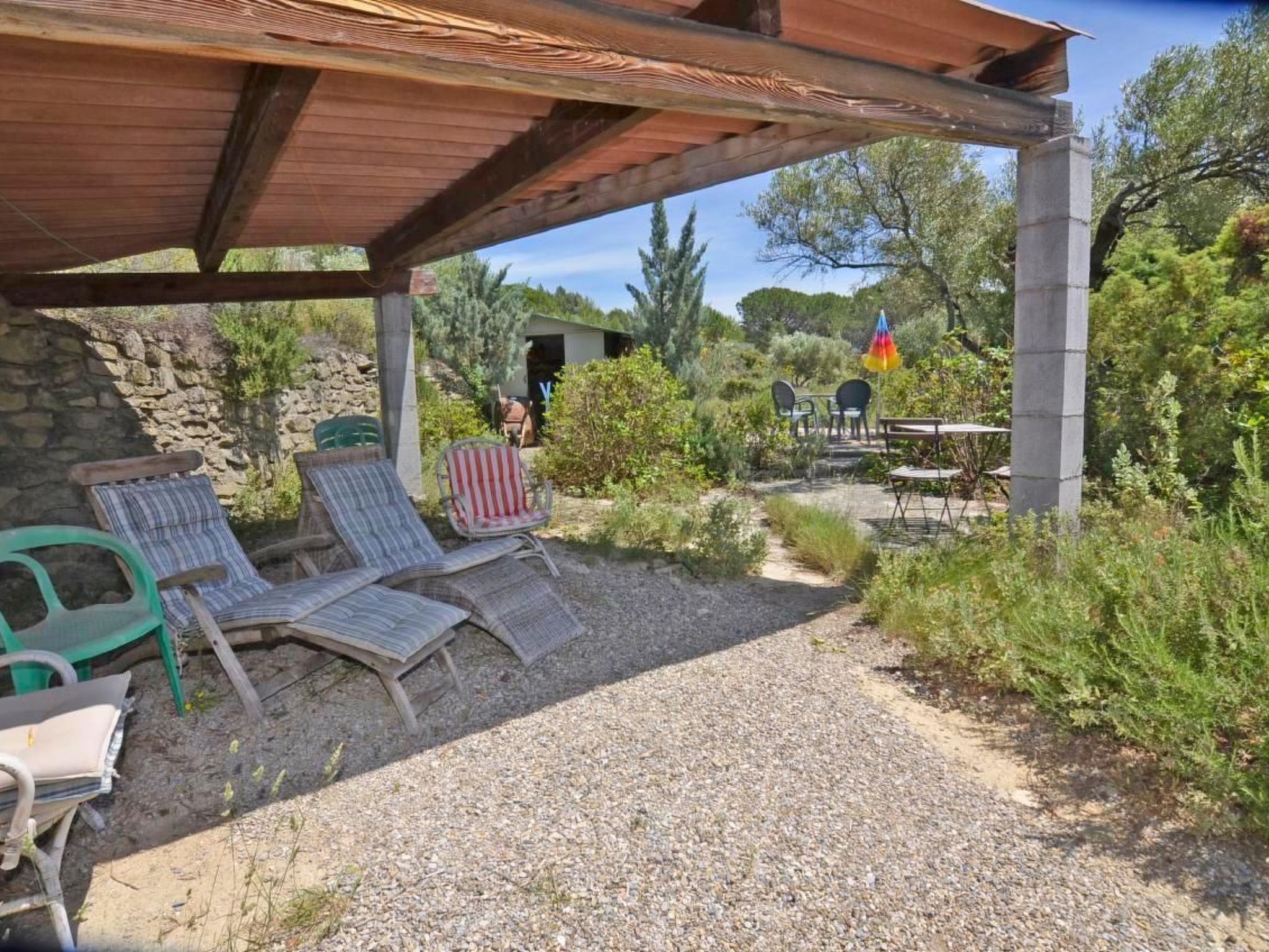 Die kleine Zikade-Dedans