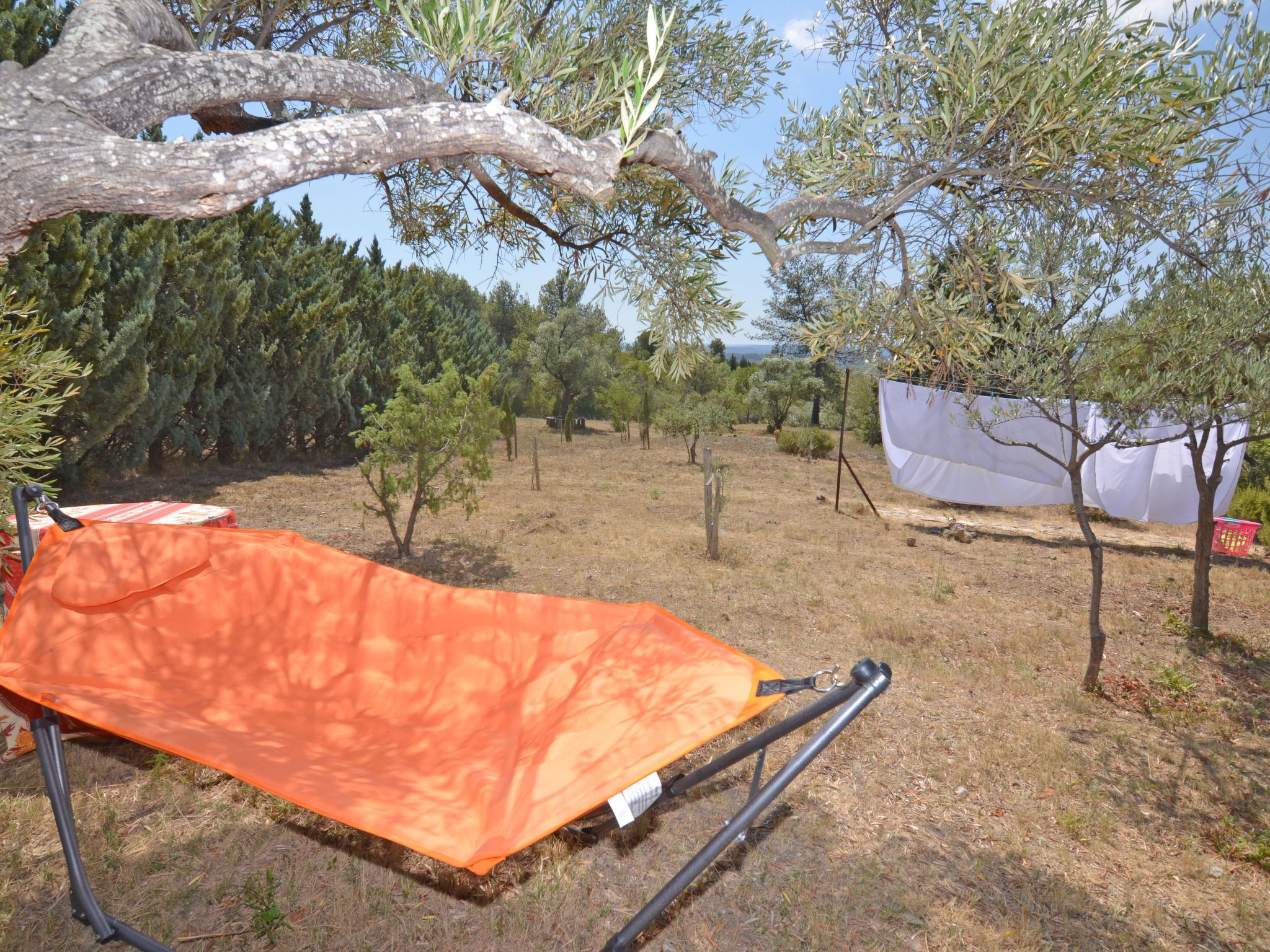 Die kleine Zikade-Dedans