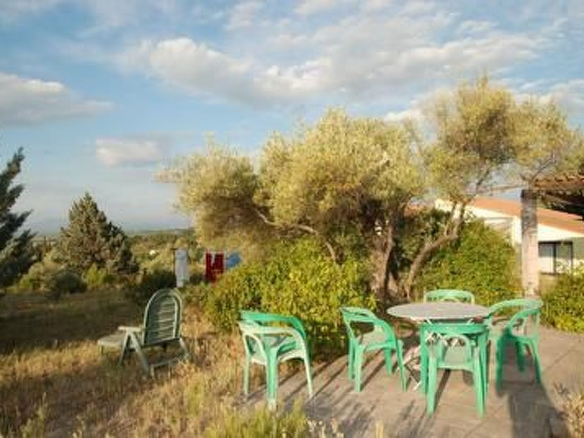 Die kleine Zikade-Dedans