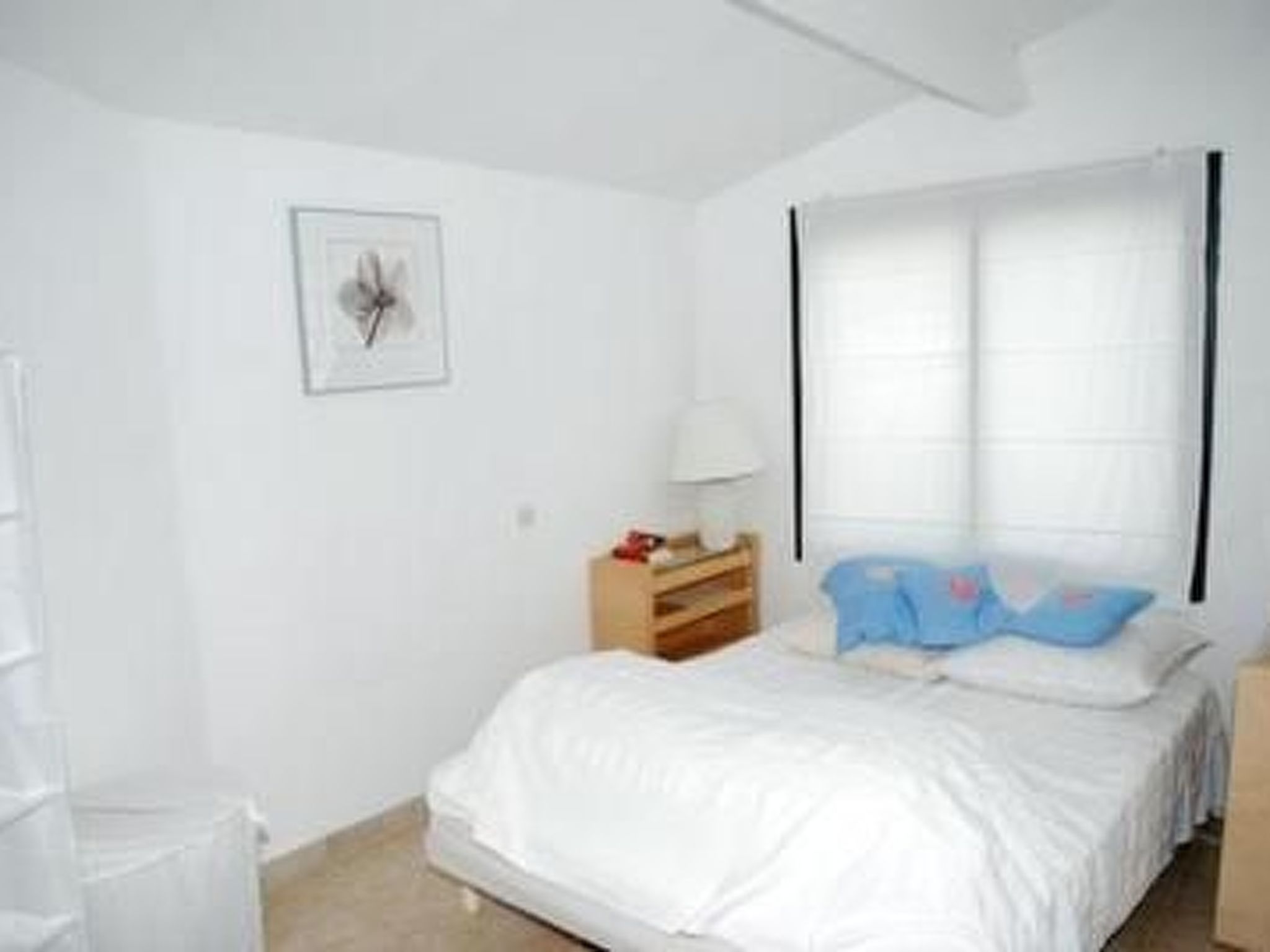 Die kleine Zikade-Dedans