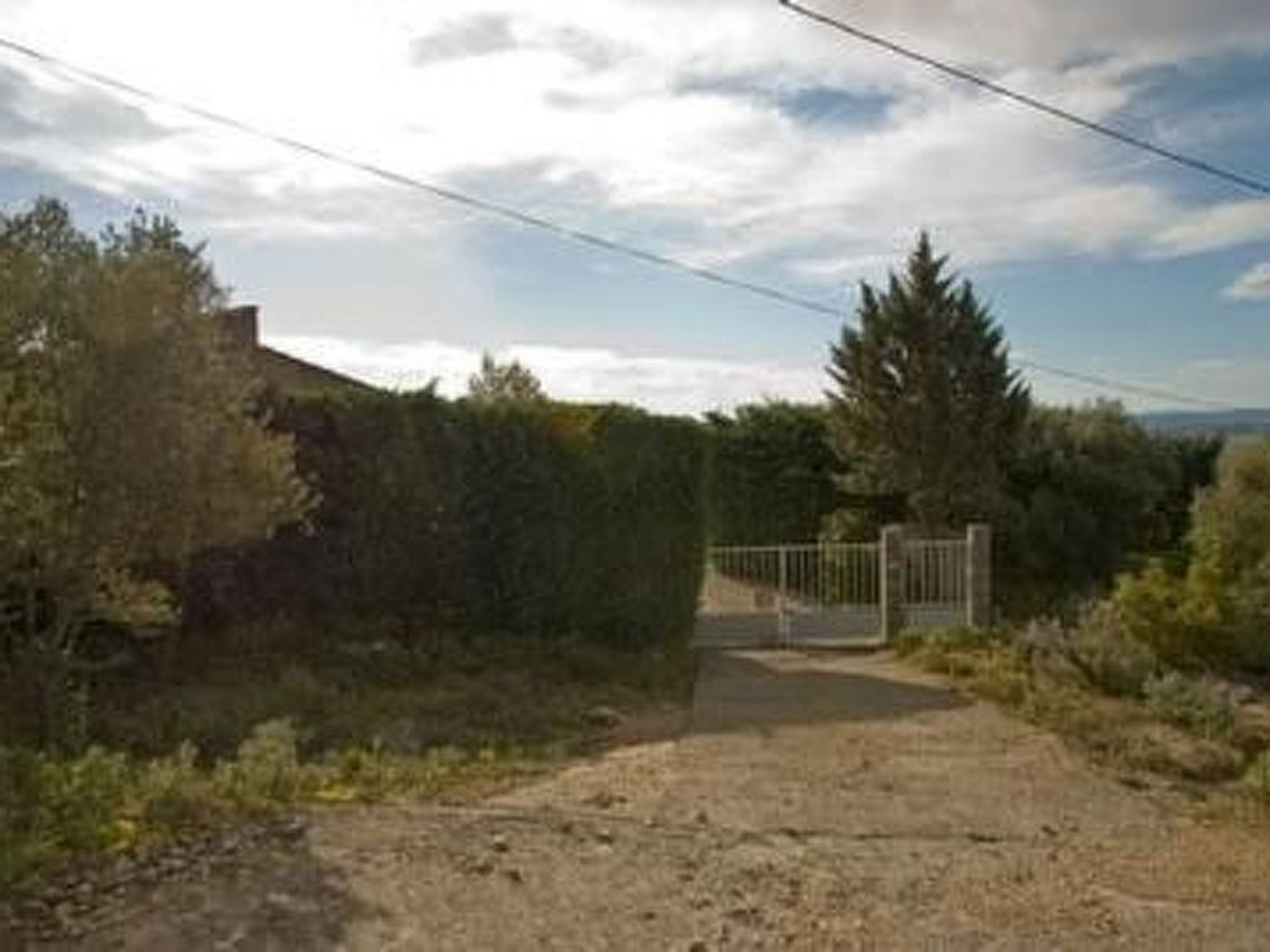 Die kleine Zikade-Dedans