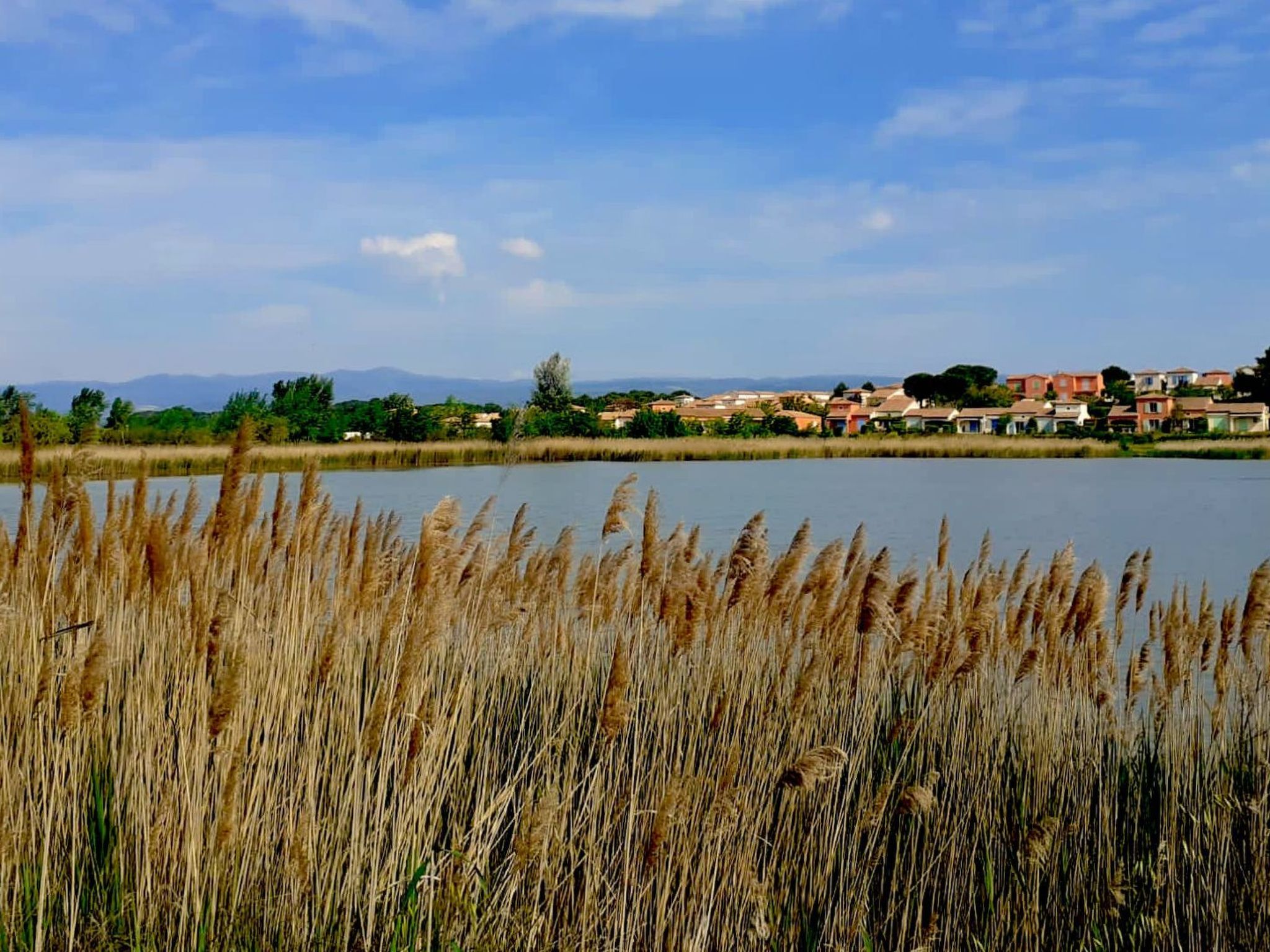 In La Livinière mit Großer Terrasse-Inside