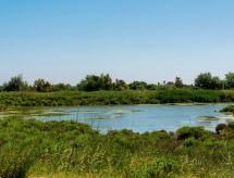 Vacation home Domaine du Golf