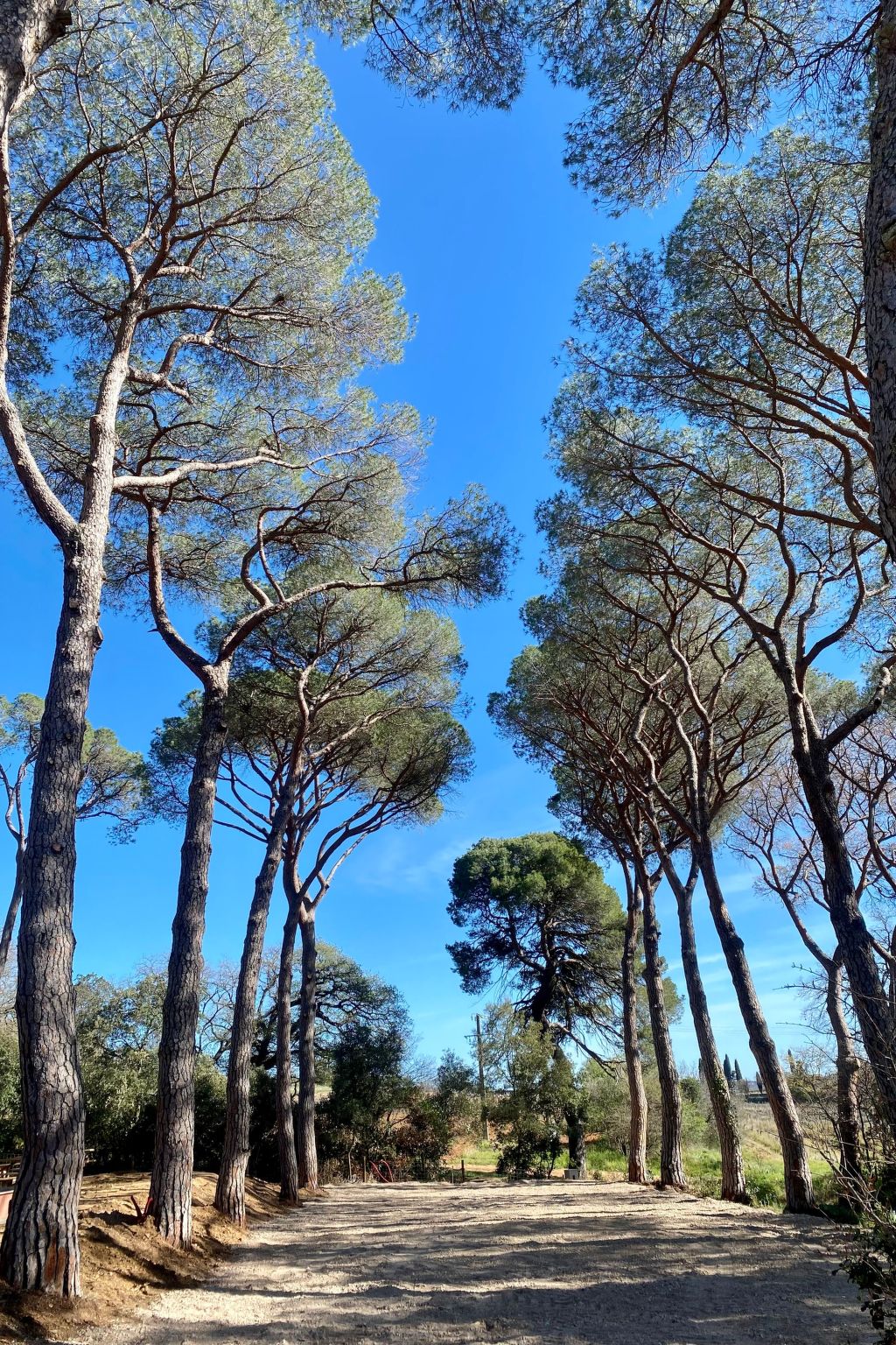 Chez Nerthe, 5-Sterne-Haus mit privatem Jacuzzi