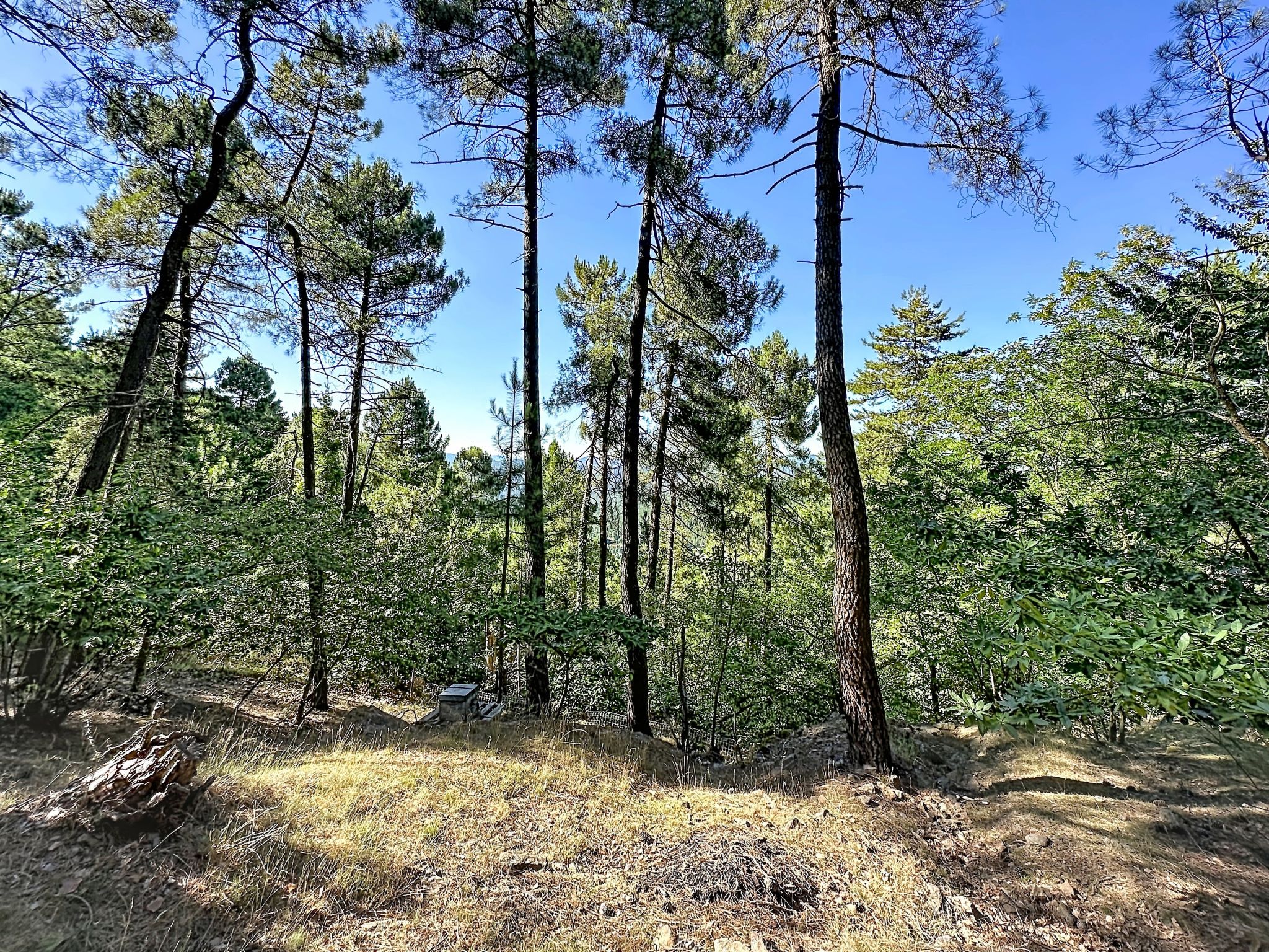 La Bergerie de Portes - Dehors