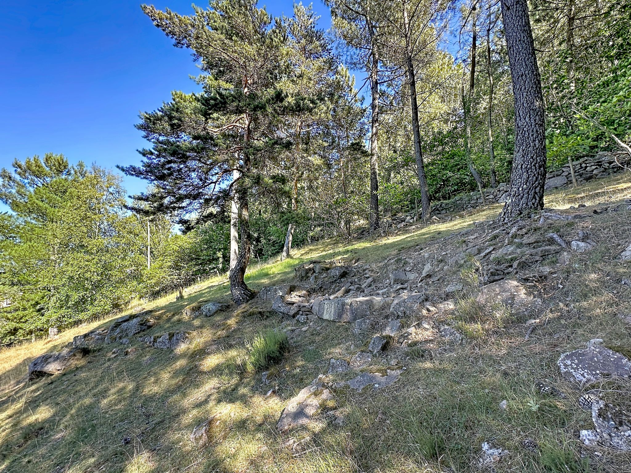 La Bergerie de Portes - Dehors