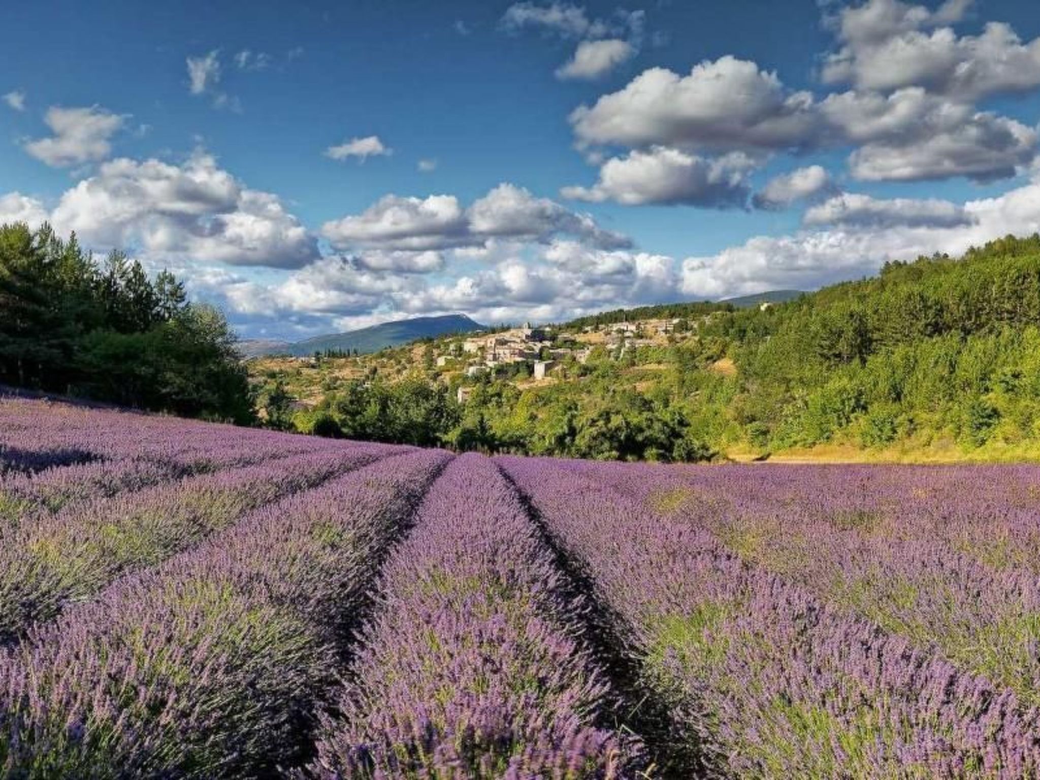 Villa Fleurie-Binnen