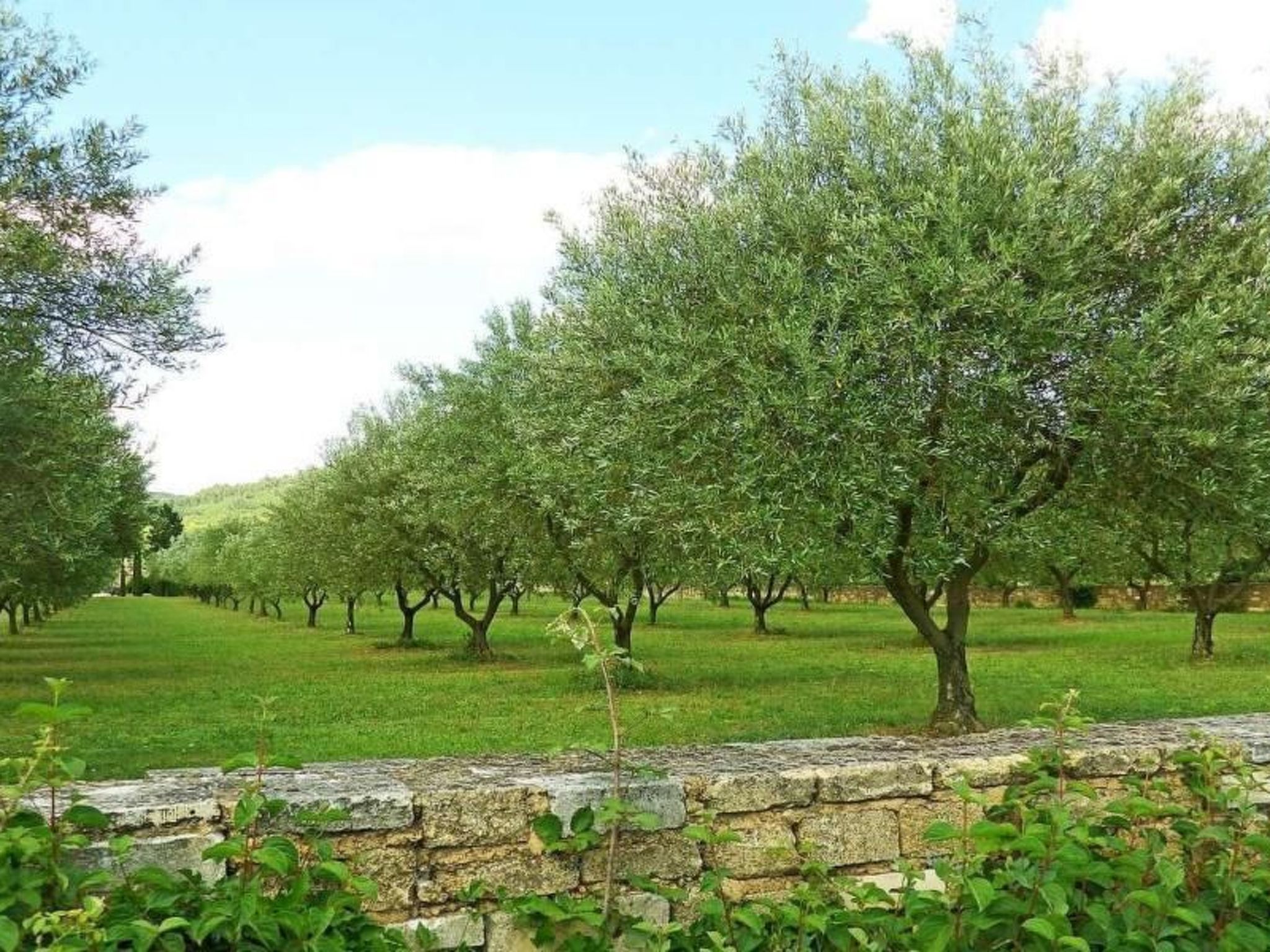 Villa Fleurie-Binnen