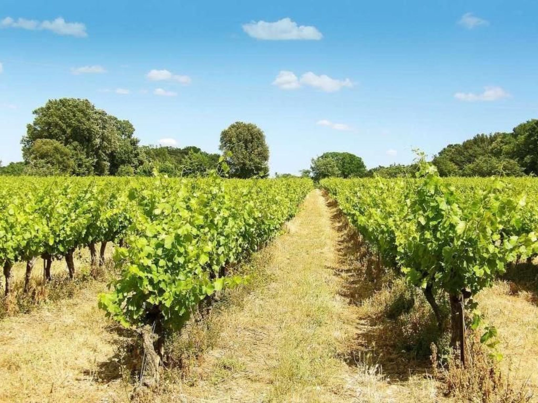 Villa Fleurie-Binnen