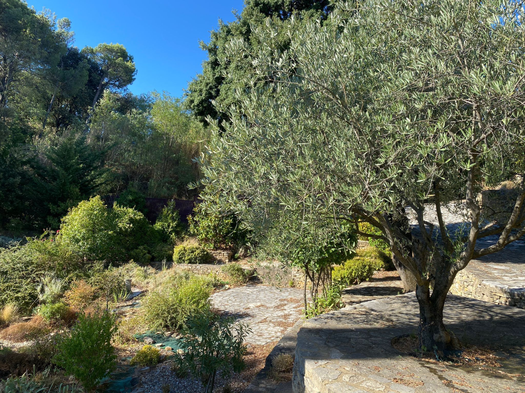 In der Provence, Außergewöhnliche Villa, Okzitanien, Gard-Binnen