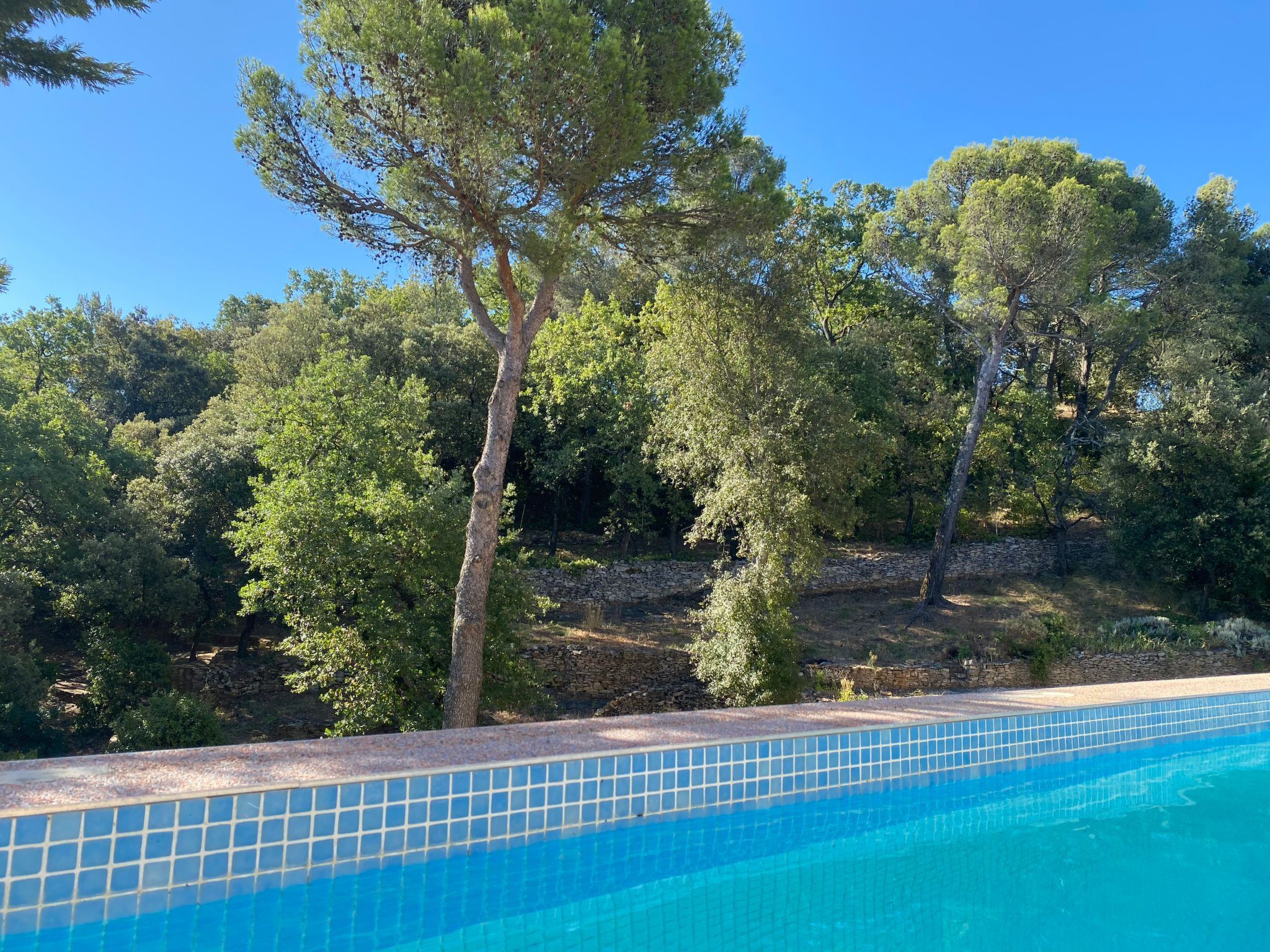 In der Provence, Außergewöhnliche Villa, Okzitanien, Gard-Binnen