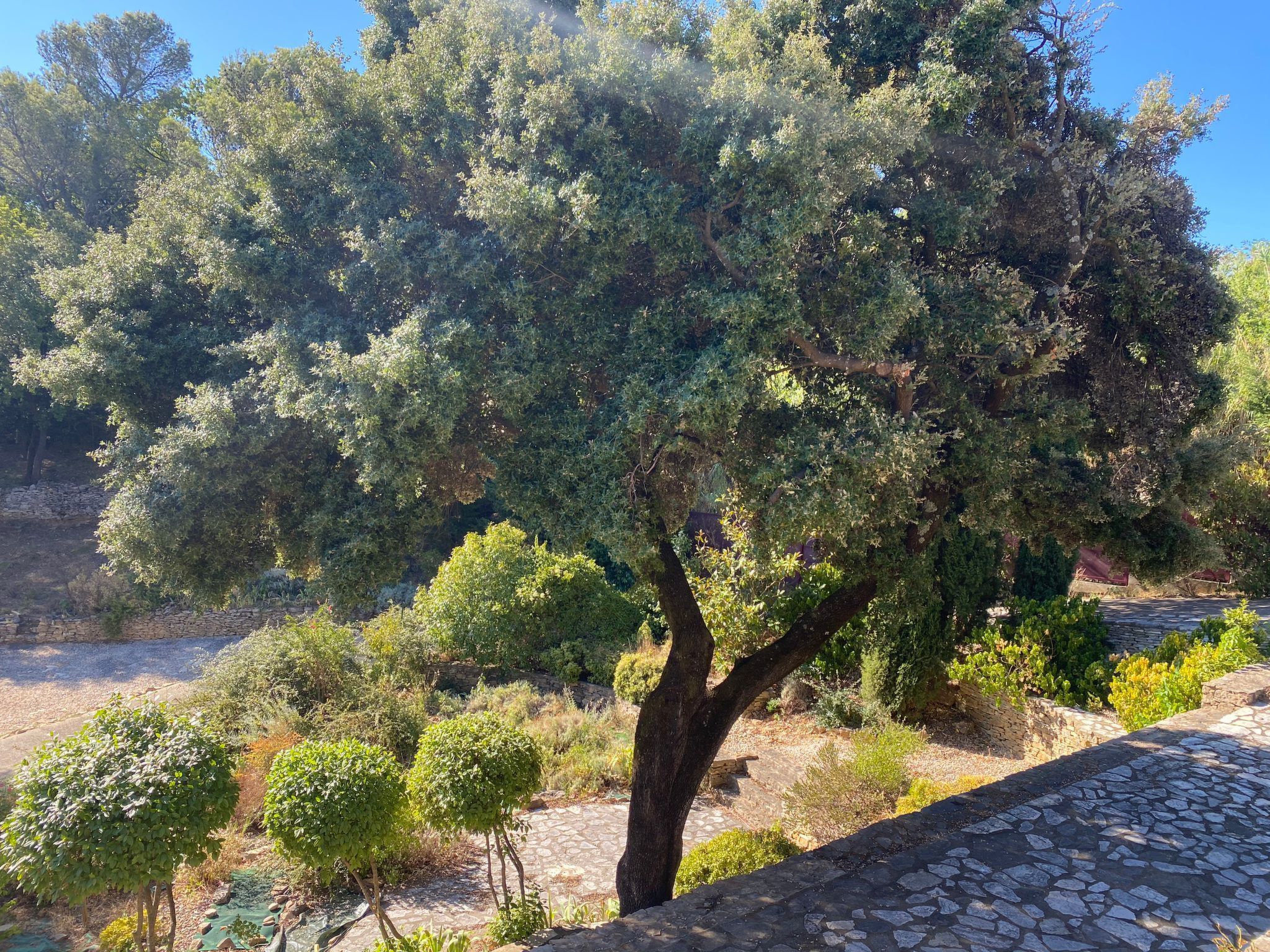 In der Provence, Außergewöhnliche Villa, Okzitanien, Gard-Binnen