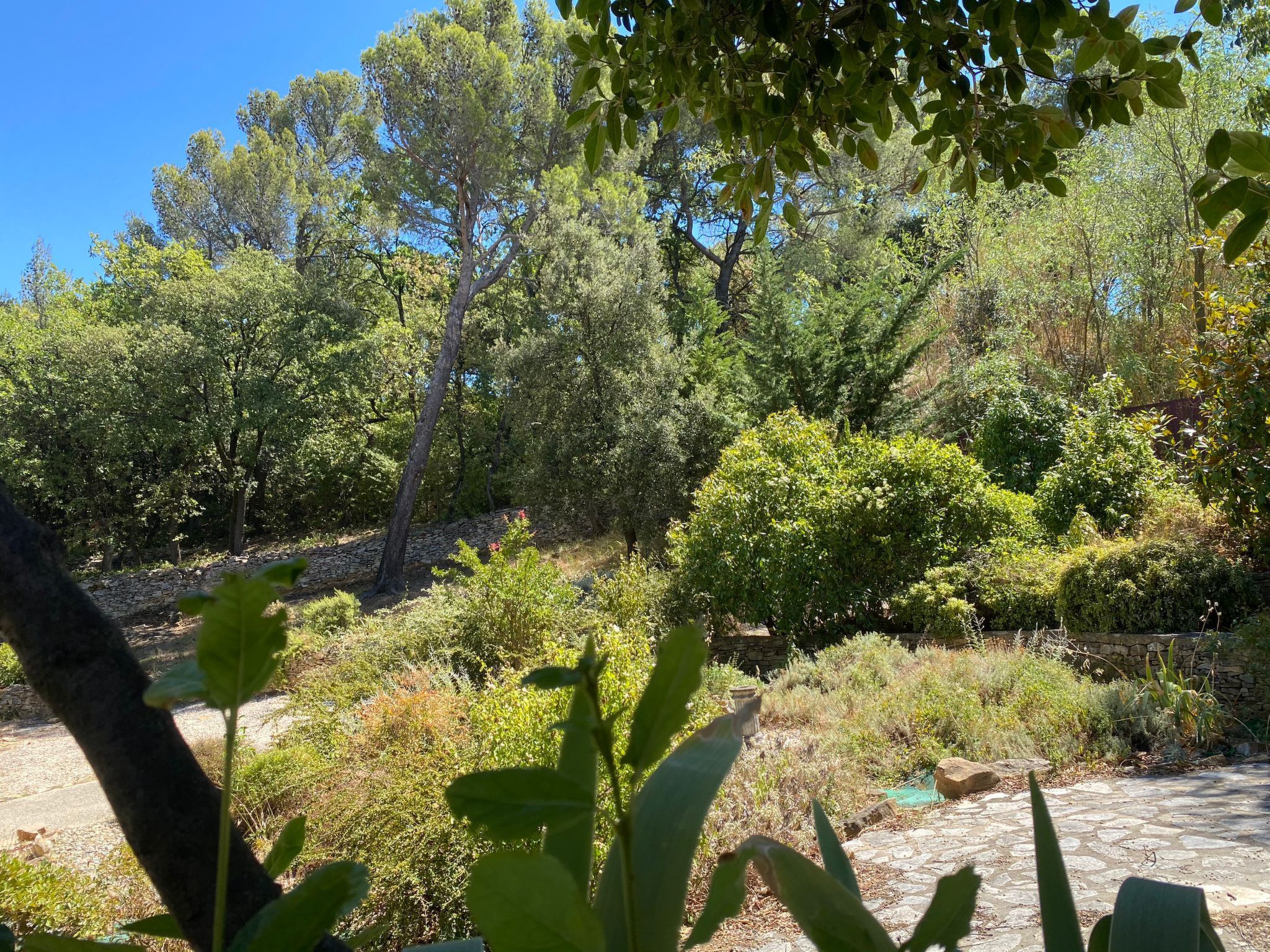 In der Provence, Außergewöhnliche Villa, Okzitanien, Gard-Binnen