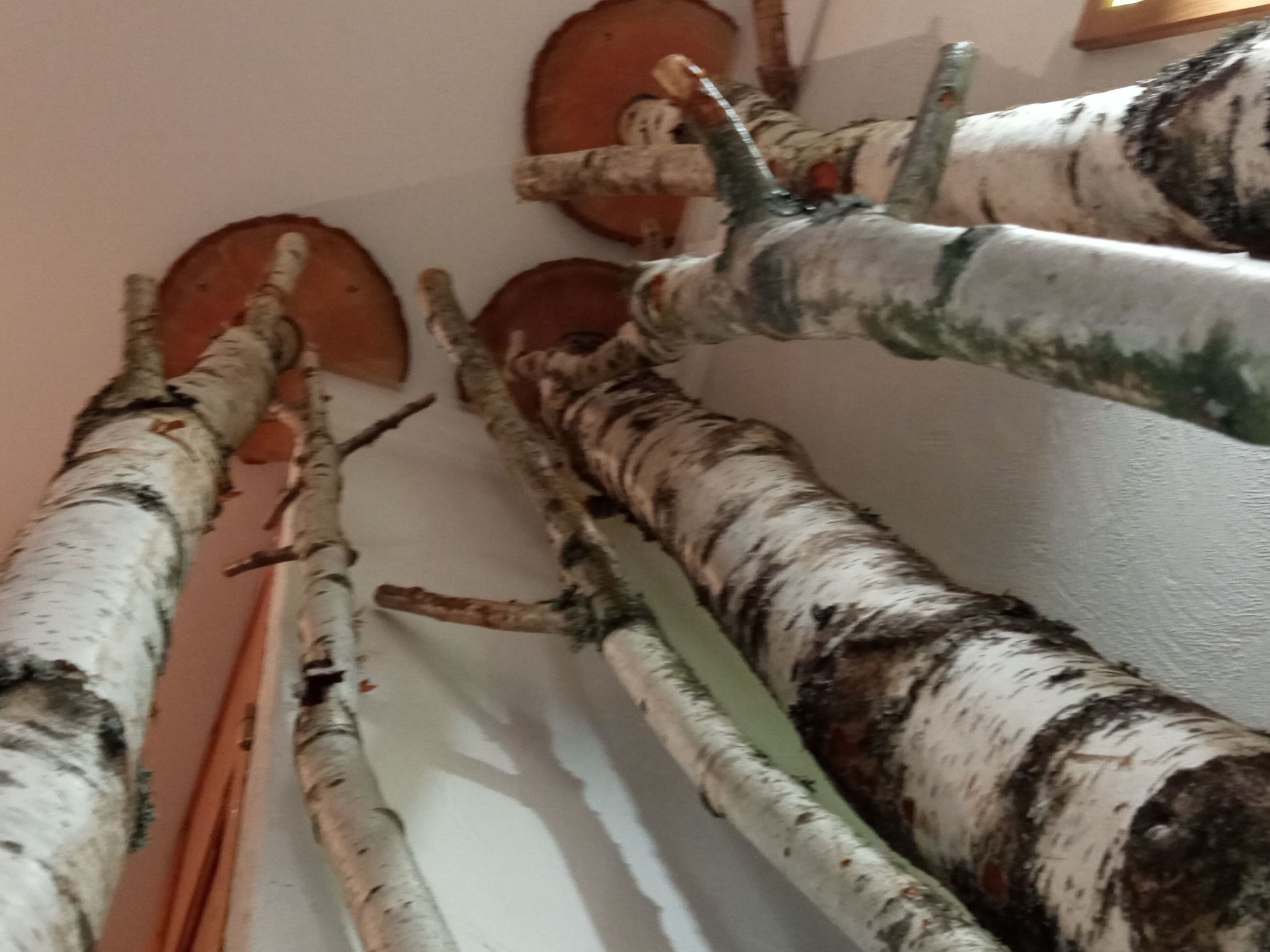 In der Provence, Außergewöhnliche Villa, Okzitanien, Gard-Binnen