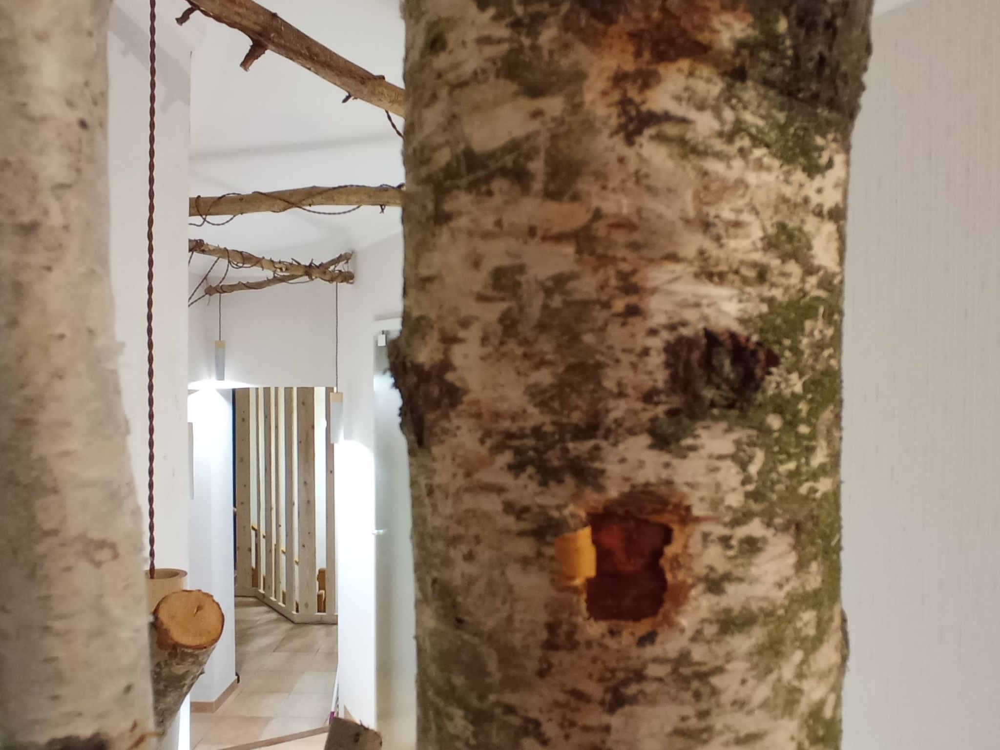 In der Provence, Außergewöhnliche Villa, Okzitanien, Gard-Binnen