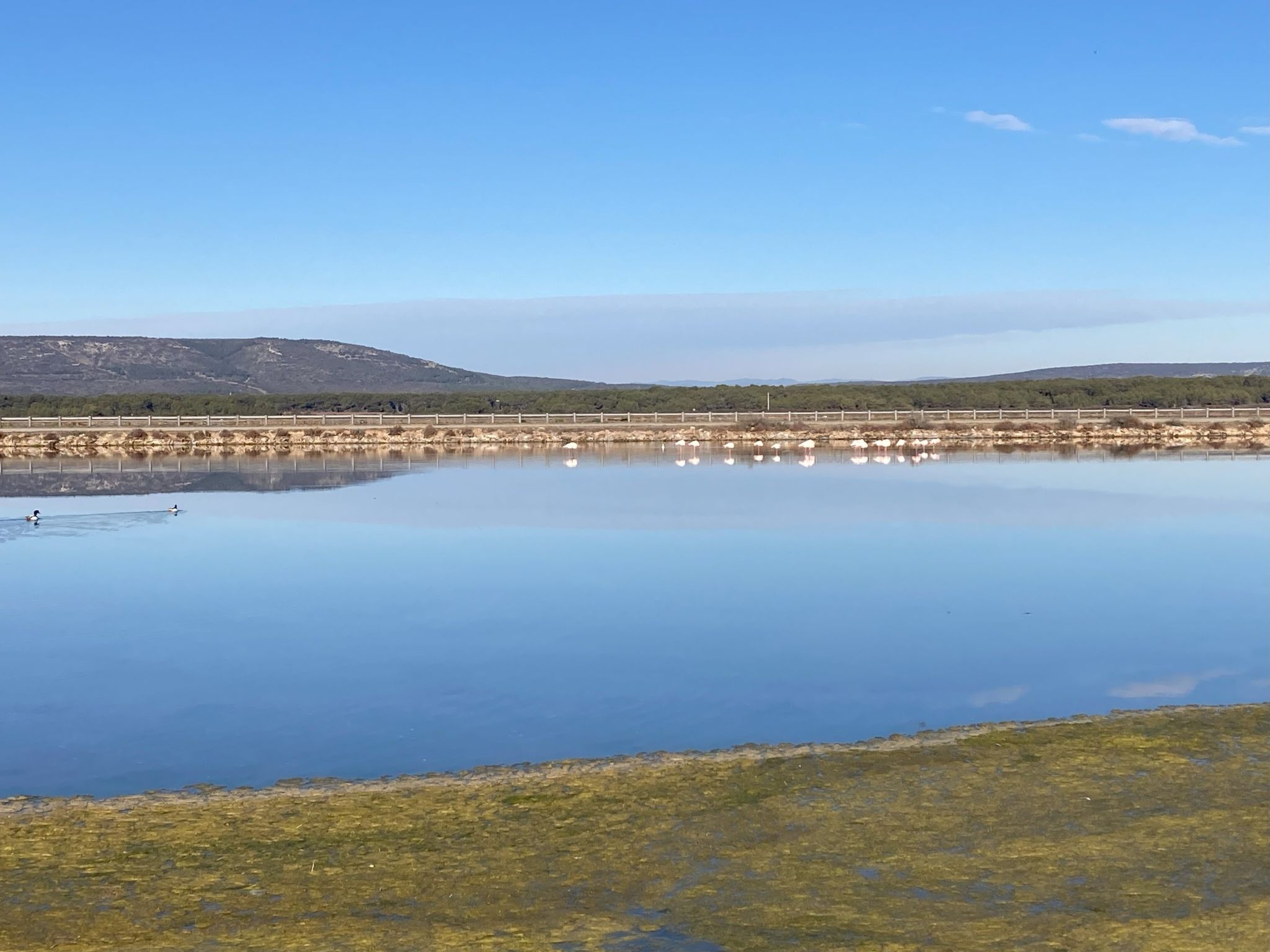 Seaside Tropical Duplex mit Pool-Outside