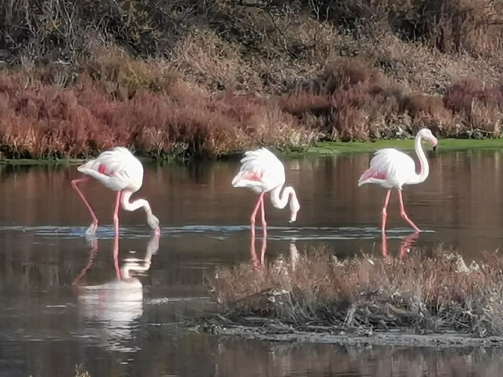 Seaside Tropical Duplex mit Pool-Outside